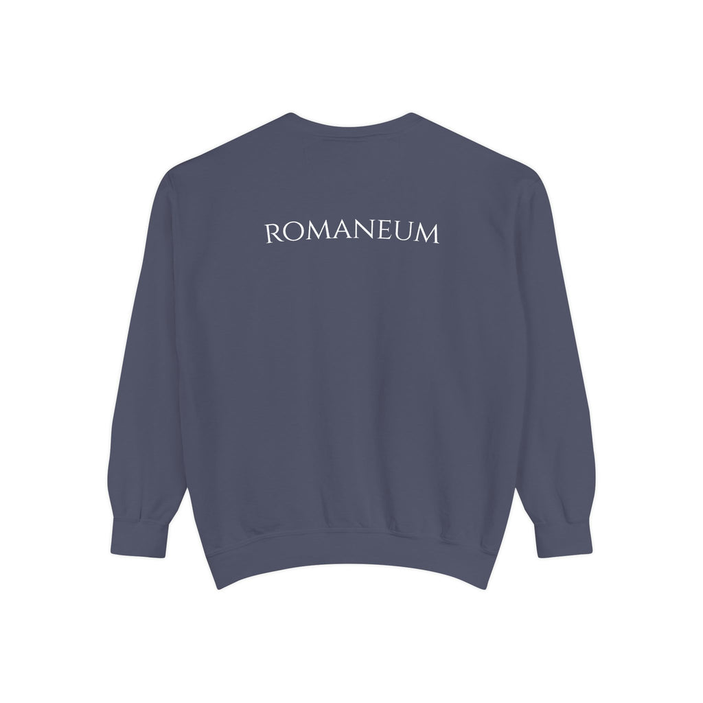 USA Flag Romaneum Sweatshirt