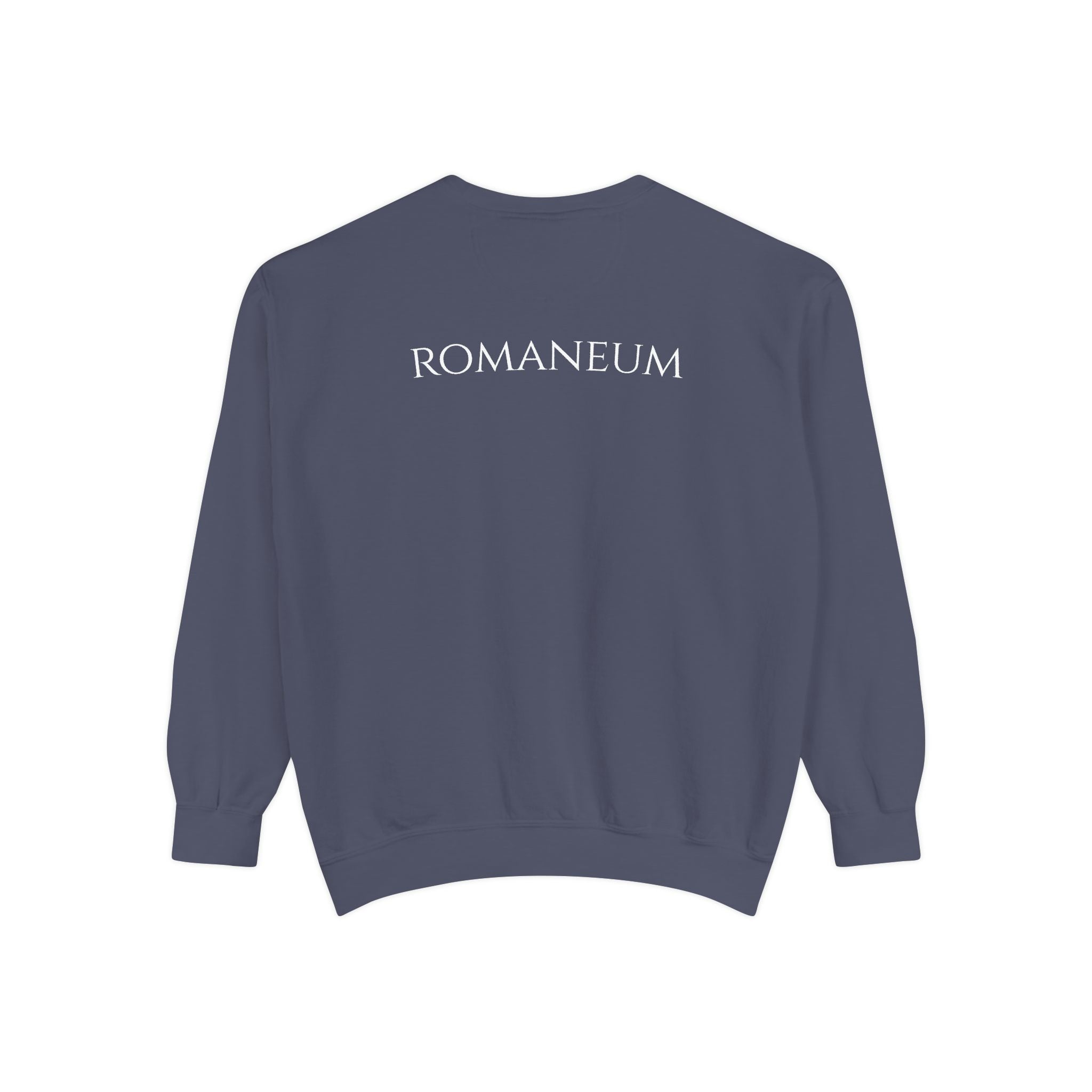 USA Flag Romaneum Sweatshirt