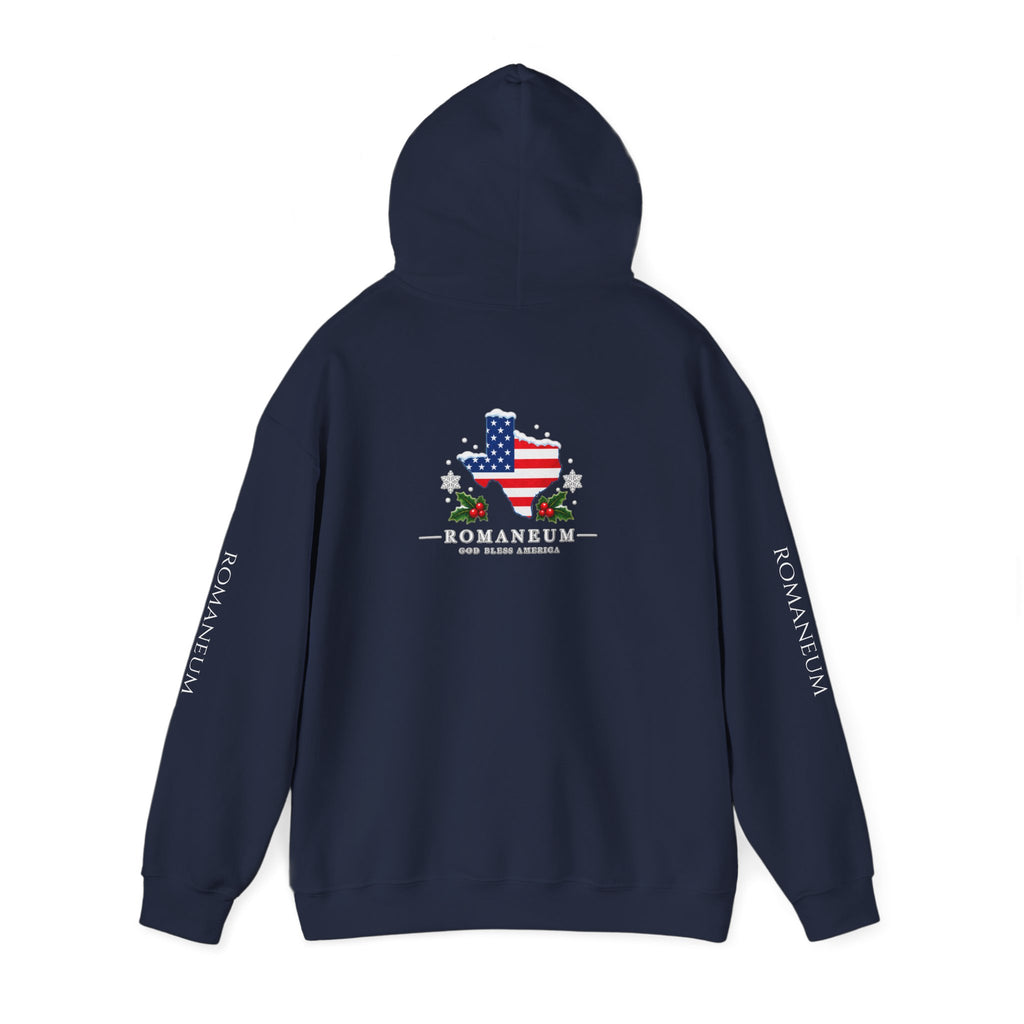 American Flag Texas Hoodie — God Bless America Patriotic Pullover