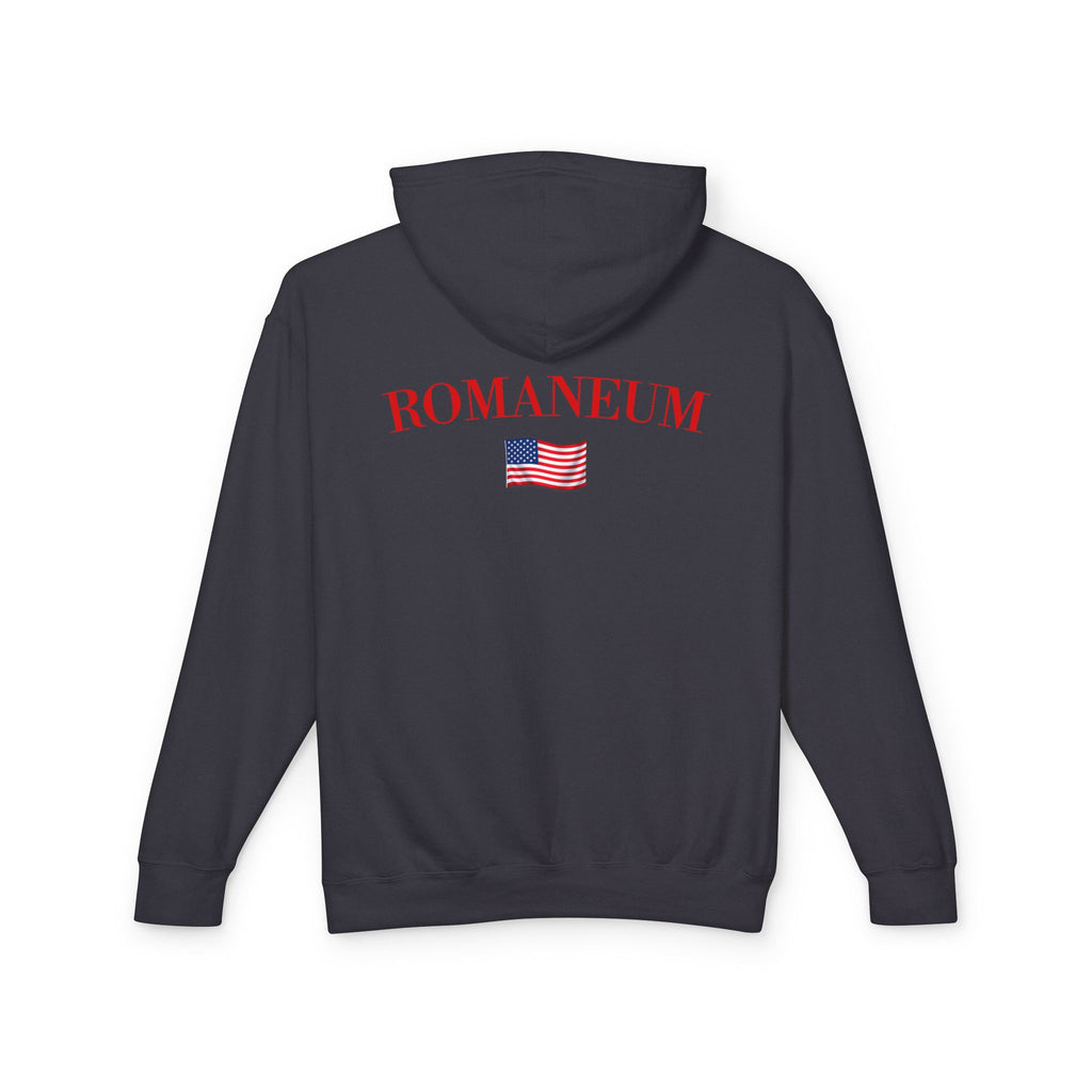God Bless America Hoodie — Patriotic Eagle Flag Hooded Sweatshirt