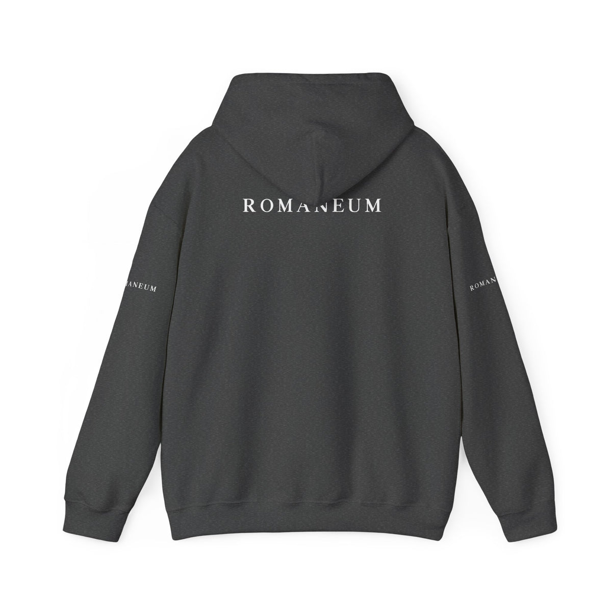 Genesis 1.1 Romaneum Hoodie – Minimalist Biblical Verse Pullover