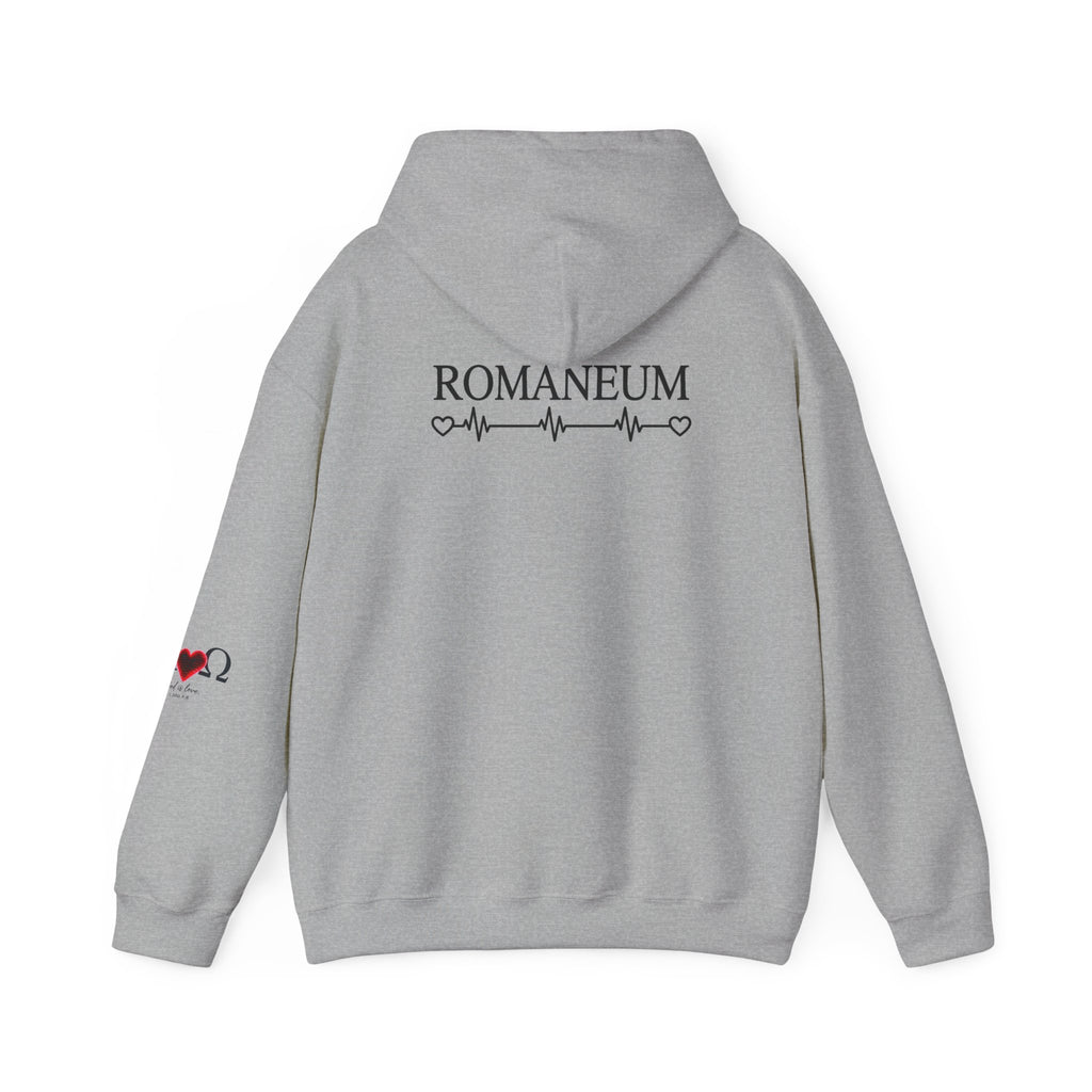 Romaneum Alpha Omega Heart Hoodie | God is Love 1 John 4:8 Christian Hoodie