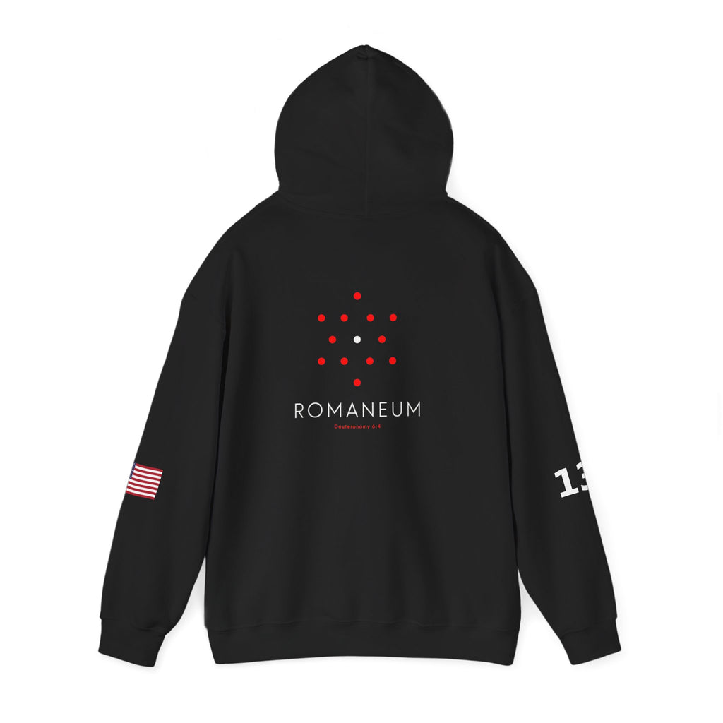 Romaneum Heavy Blend Hoodie | Flag & 13
