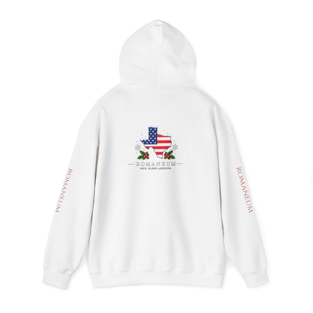 American Flag Texas Hoodie — God Bless America Patriotic Pullover