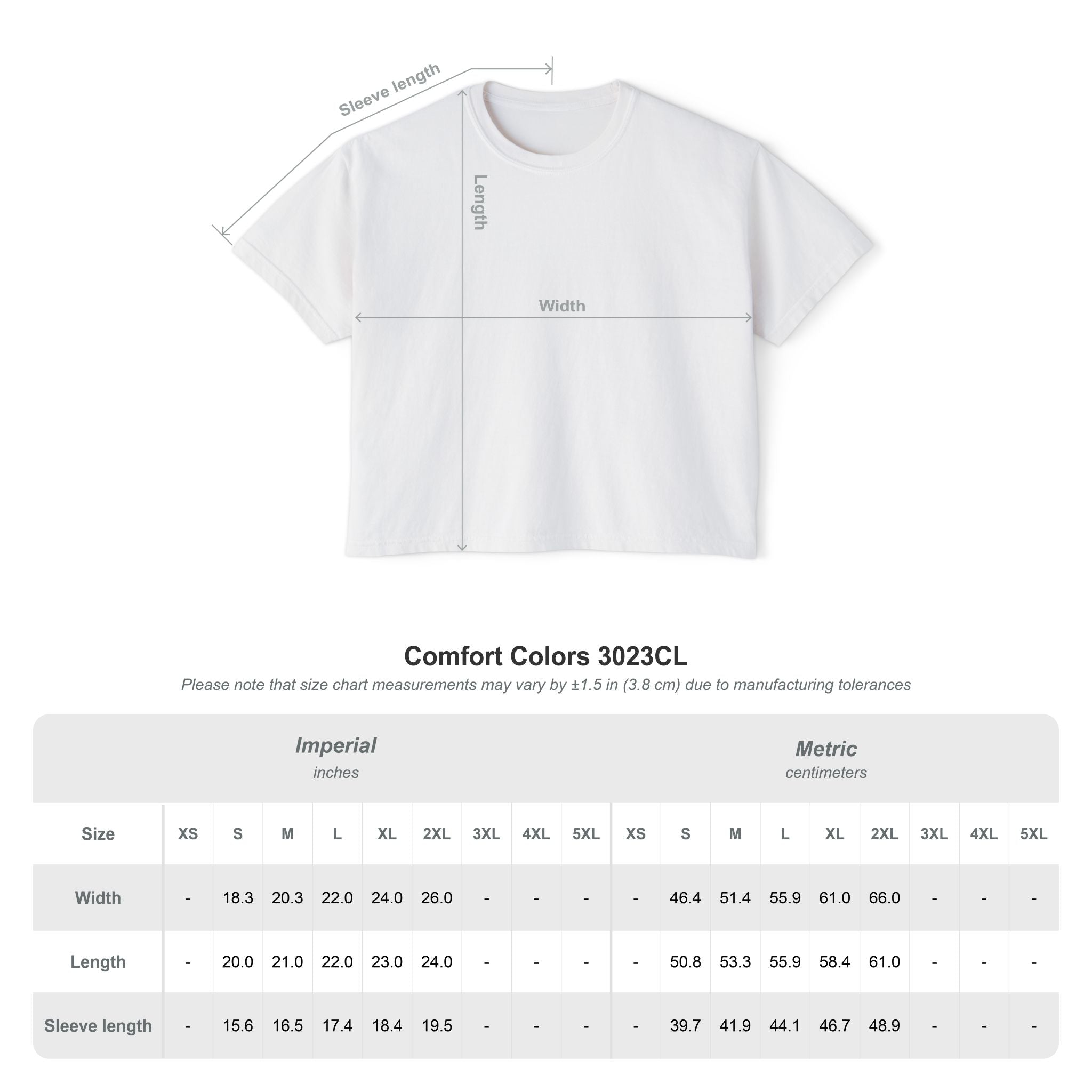 Memento Mori Boxy Tee — Vintage Skull Romaneum Graphic Shirt