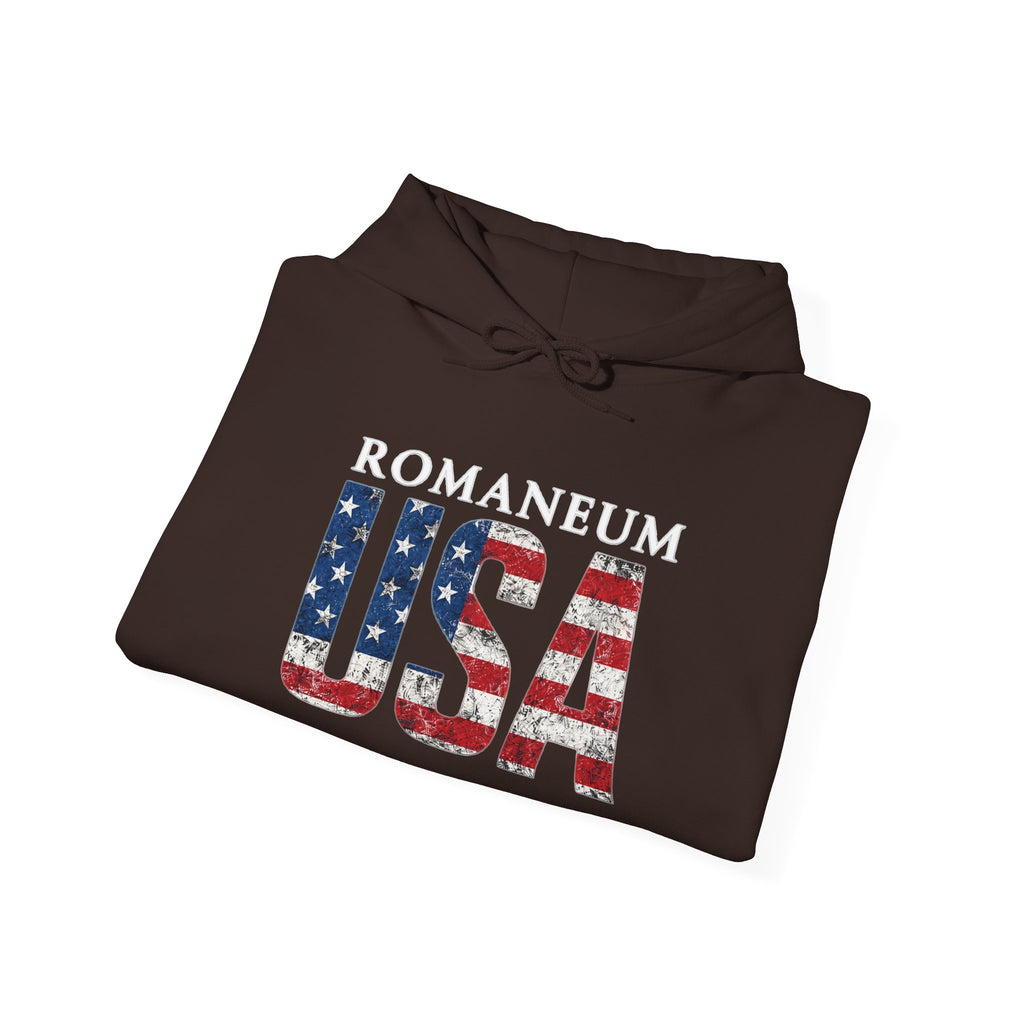 USA Flag Hoodie – Patriotic American Graphic Hooded Sweatshirt