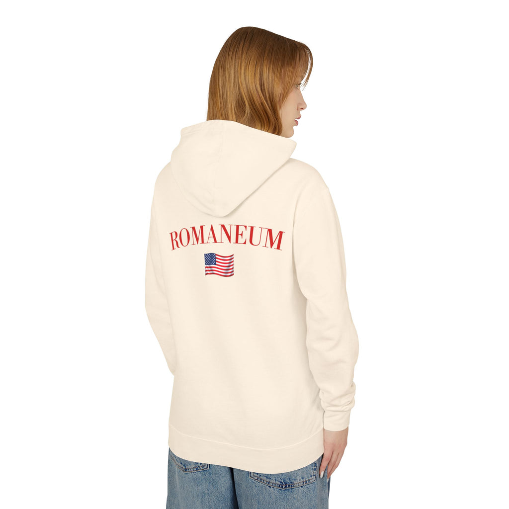 God Bless America Hoodie — Patriotic Eagle Flag Hooded Sweatshirt