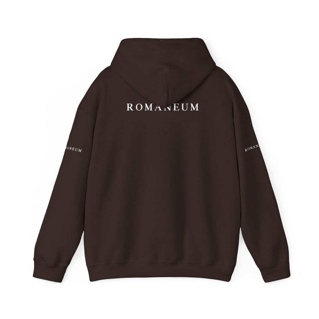 Genesis 1.1 Romaneum Hoodie – Minimalist Biblical Verse Pullover