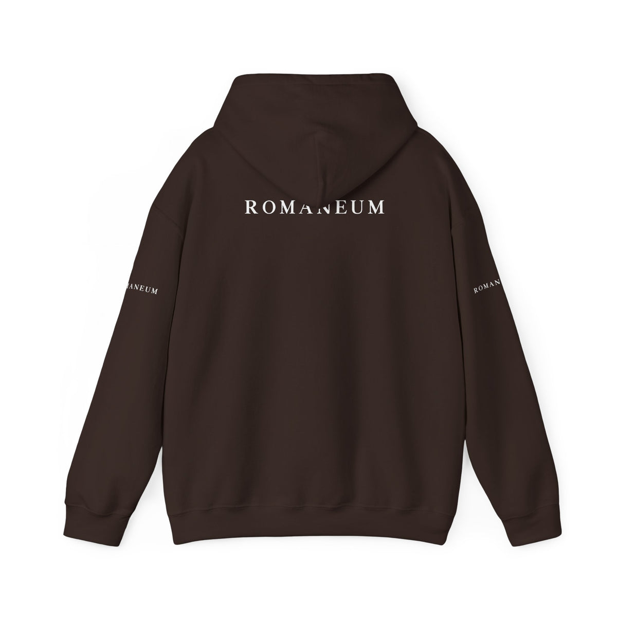 Genesis 1.1 Romaneum Hoodie – Minimalist Biblical Verse Pullover