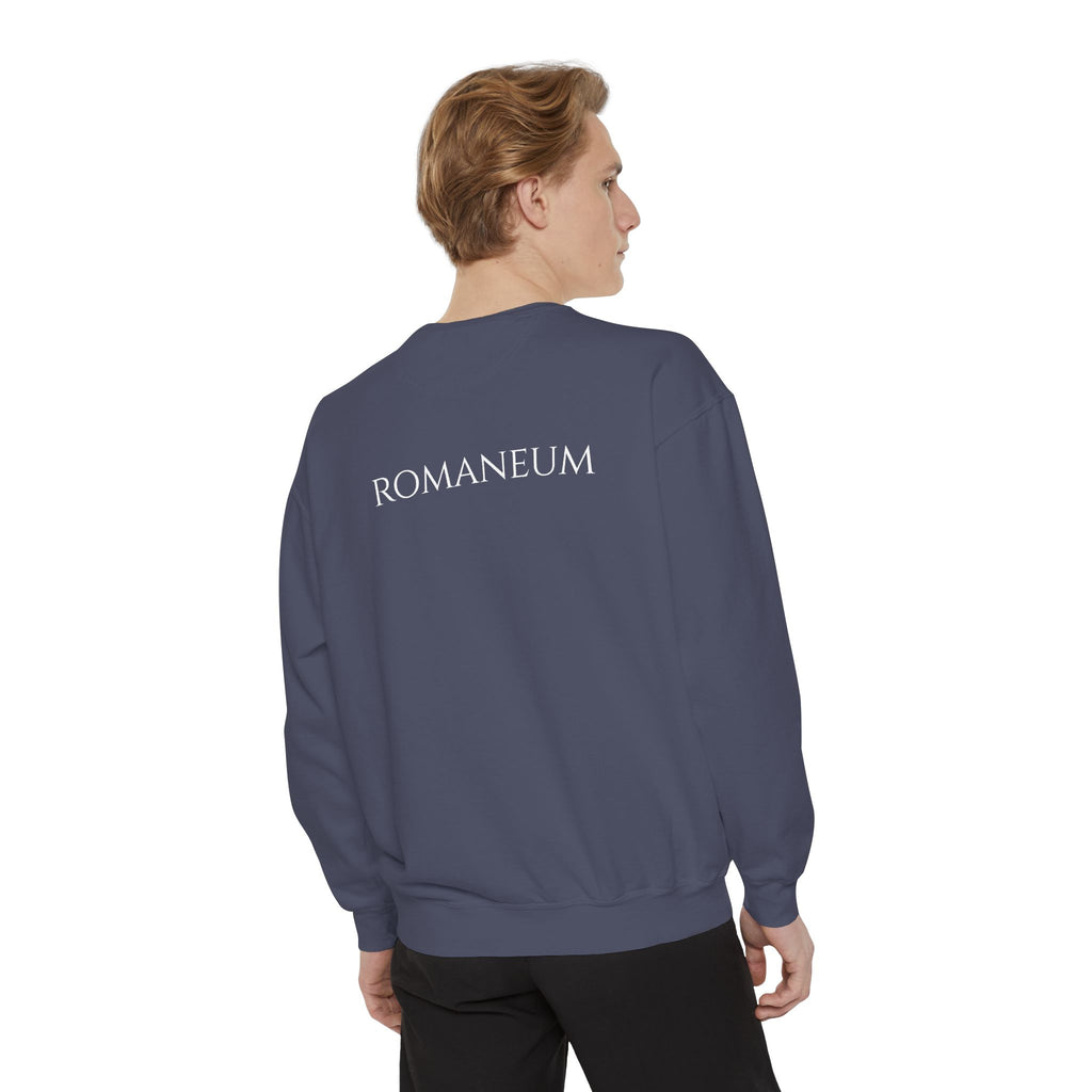 USA Flag Romaneum Sweatshirt