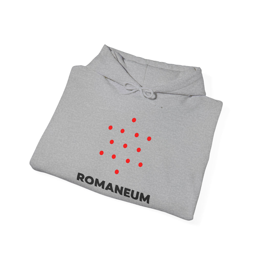 Romaneum Heavy Blend Hoodie | Flag & 13