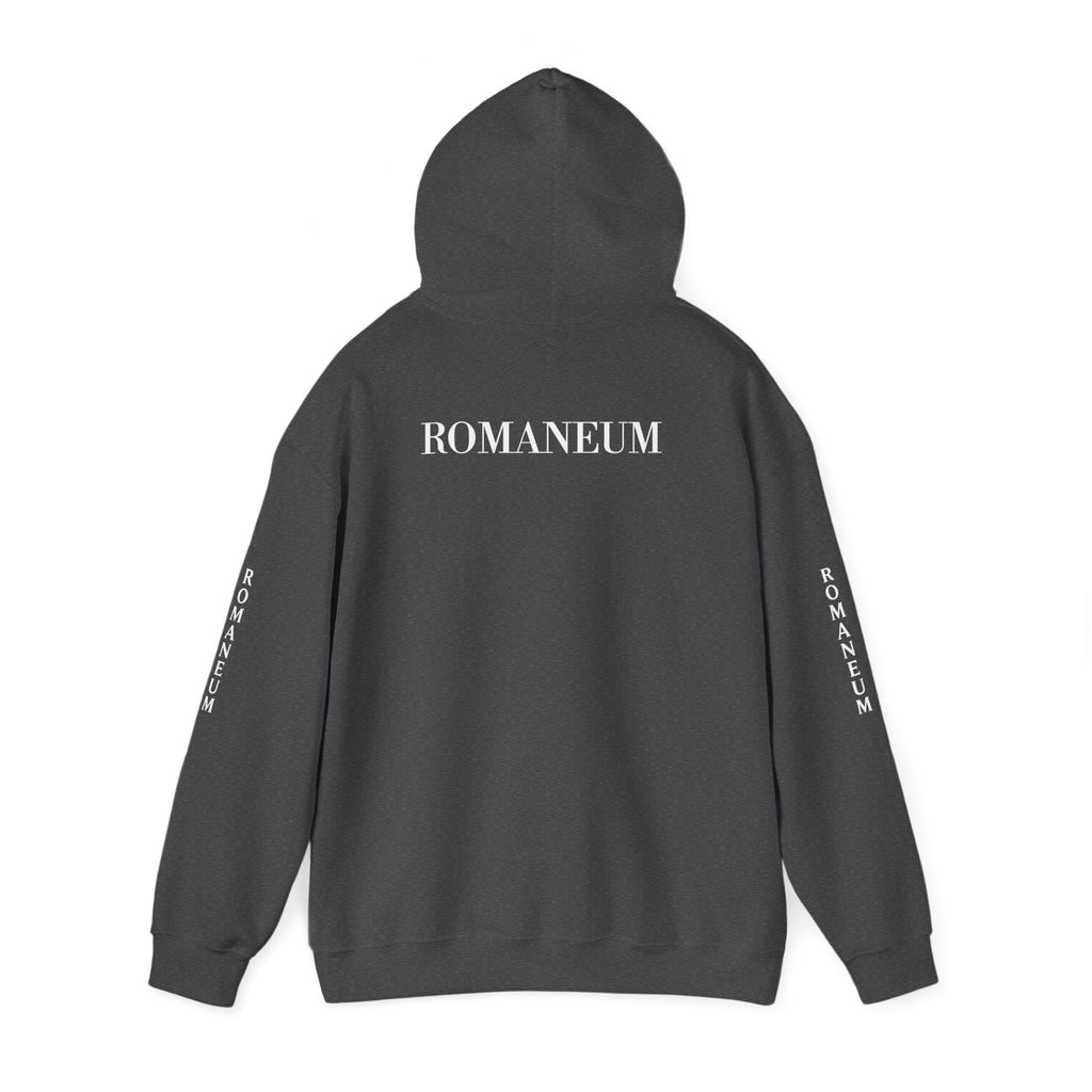 Think Like God Hoodie — Graphic Religious Pullover with Romaneum Sleeve Print