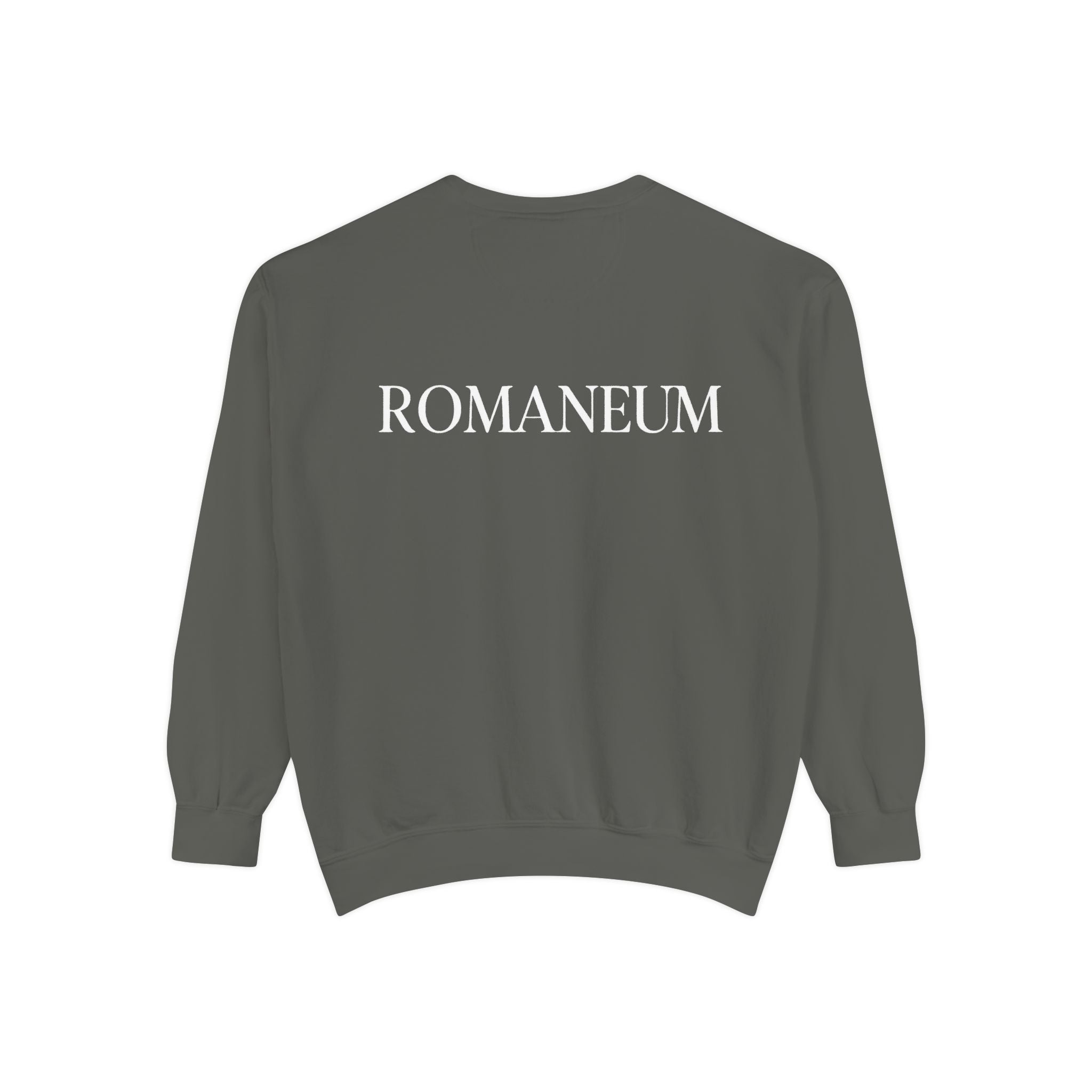 Romaneum Judah Lion Sweatshirt — Graphic Sweatshirt