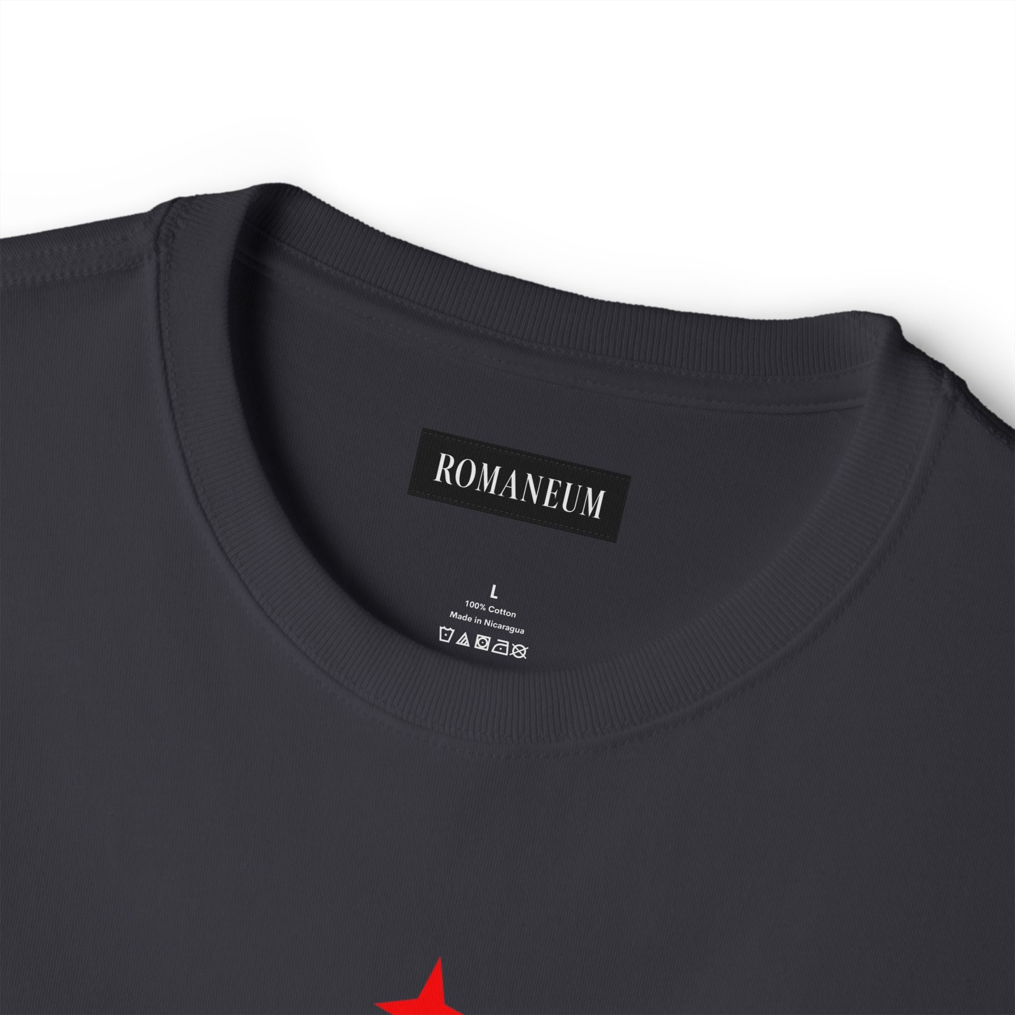 Amor Romanum Tee — 'Amor' Mirrored Graphic Boxy T‑Shirt