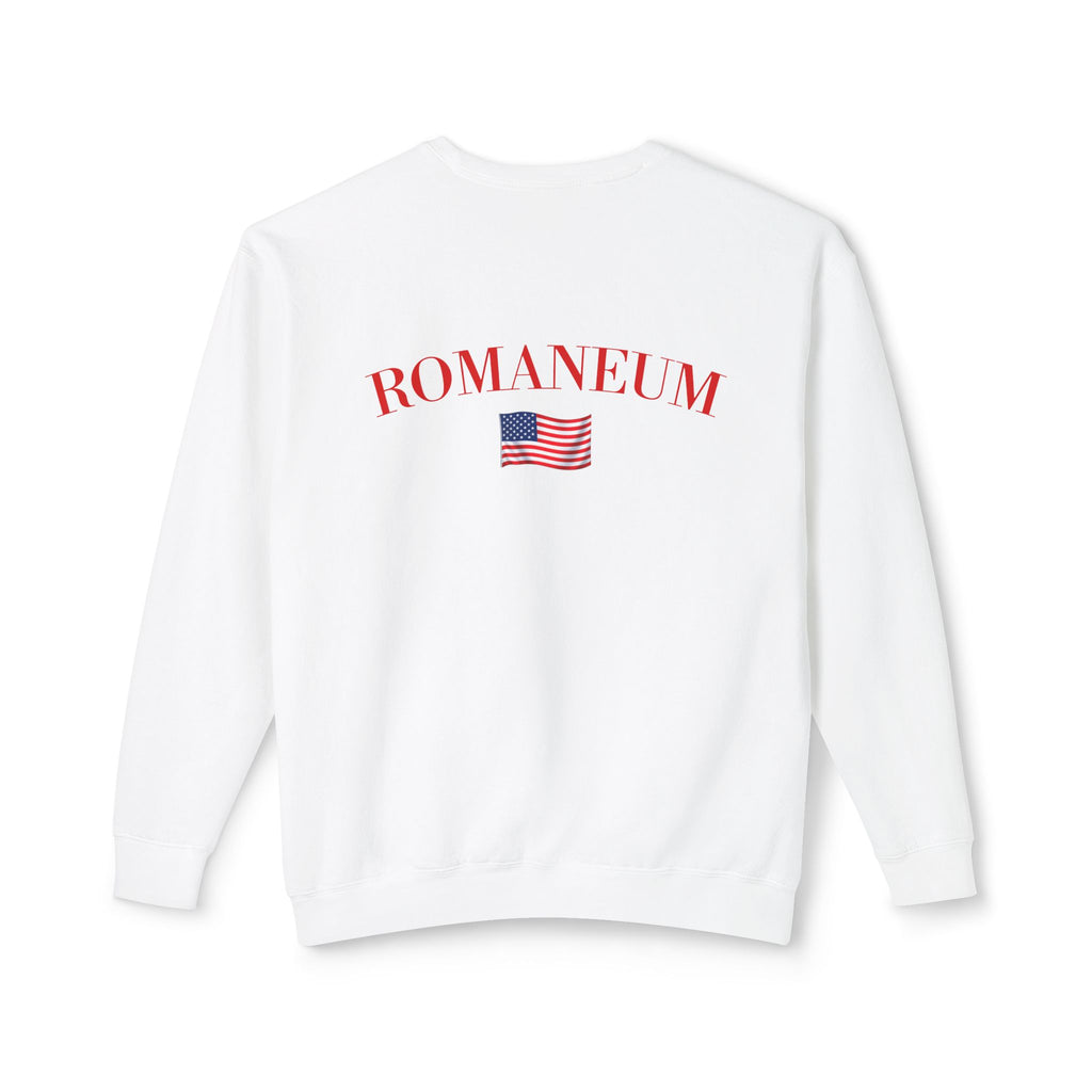 God Bless America Eagle Sweatshirt