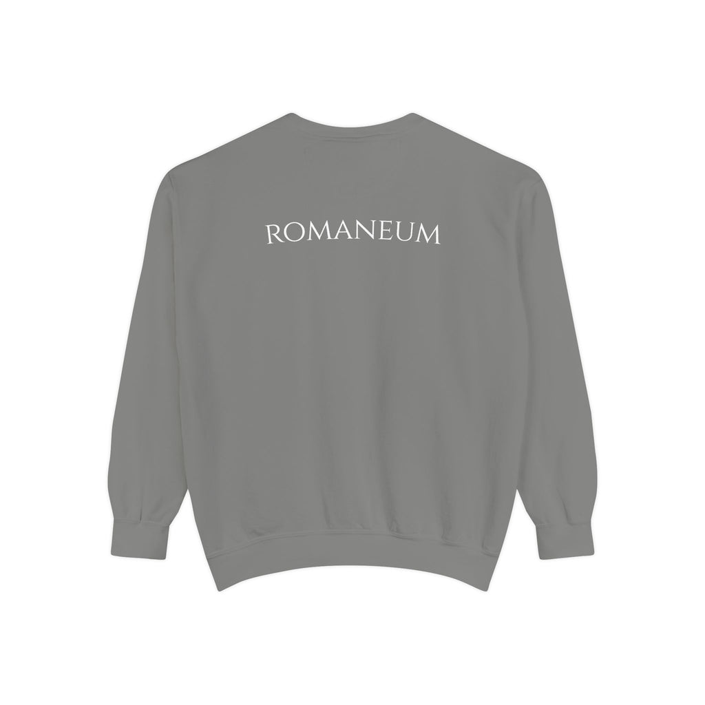 USA Flag Romaneum Sweatshirt