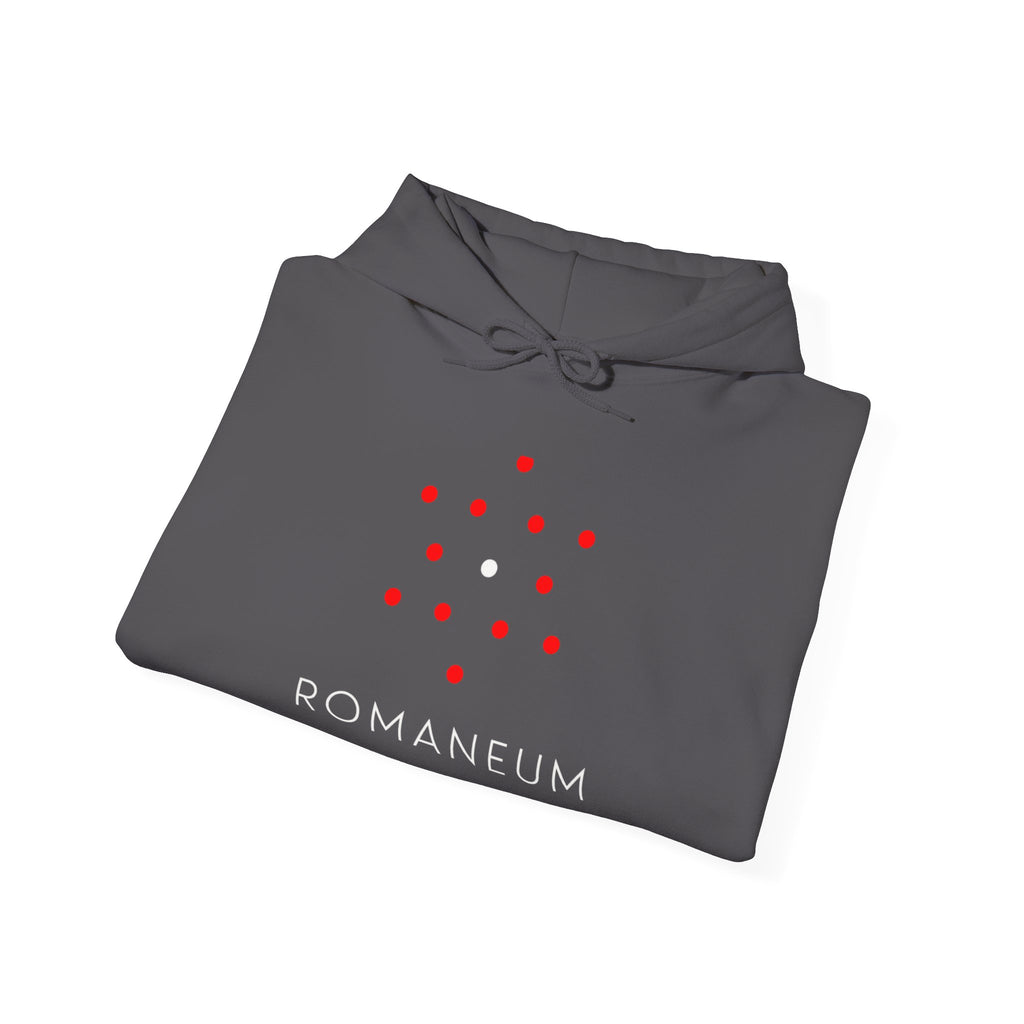 Romaneum Heavy Blend Hoodie | Flag & 13