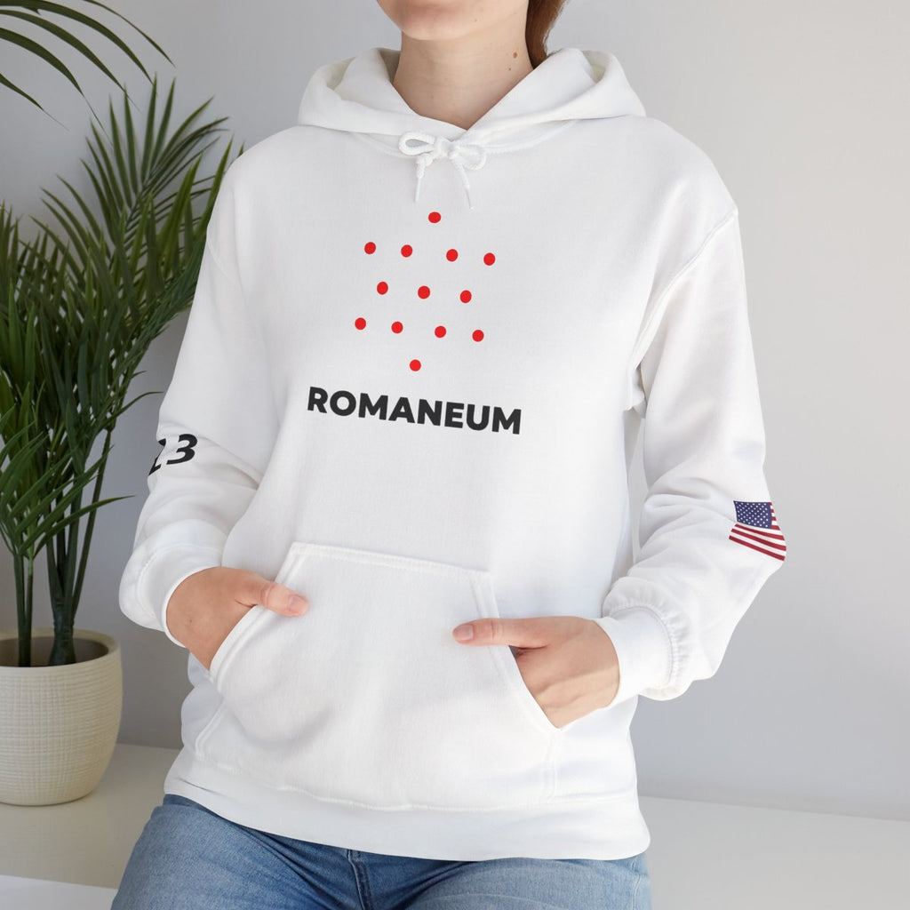 Romaneum Four-Direction Heavy Blend Hoodie | Flag & 13