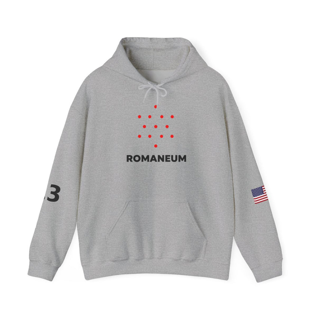 Romaneum Four-Direction Heavy Blend Hoodie | Flag & 13