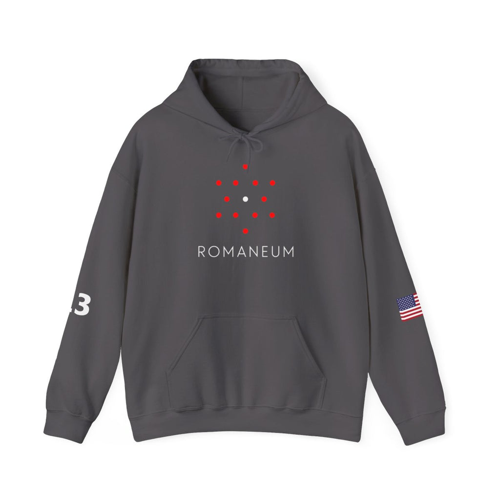 Romaneum Four-Direction Heavy Blend Hoodie | Flag & 13