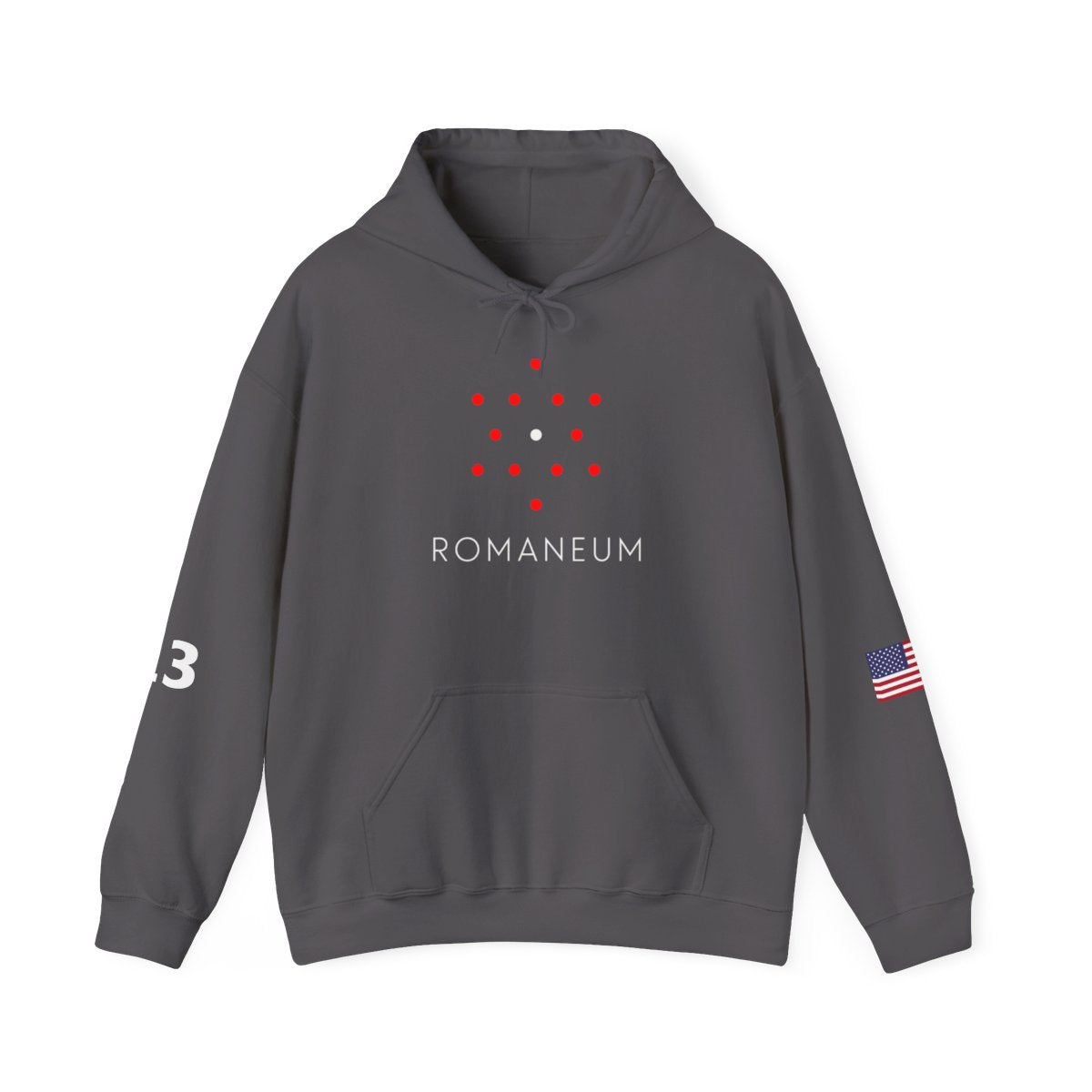 Romaneum Four-Direction Heavy Blend Hoodie | Flag & 13