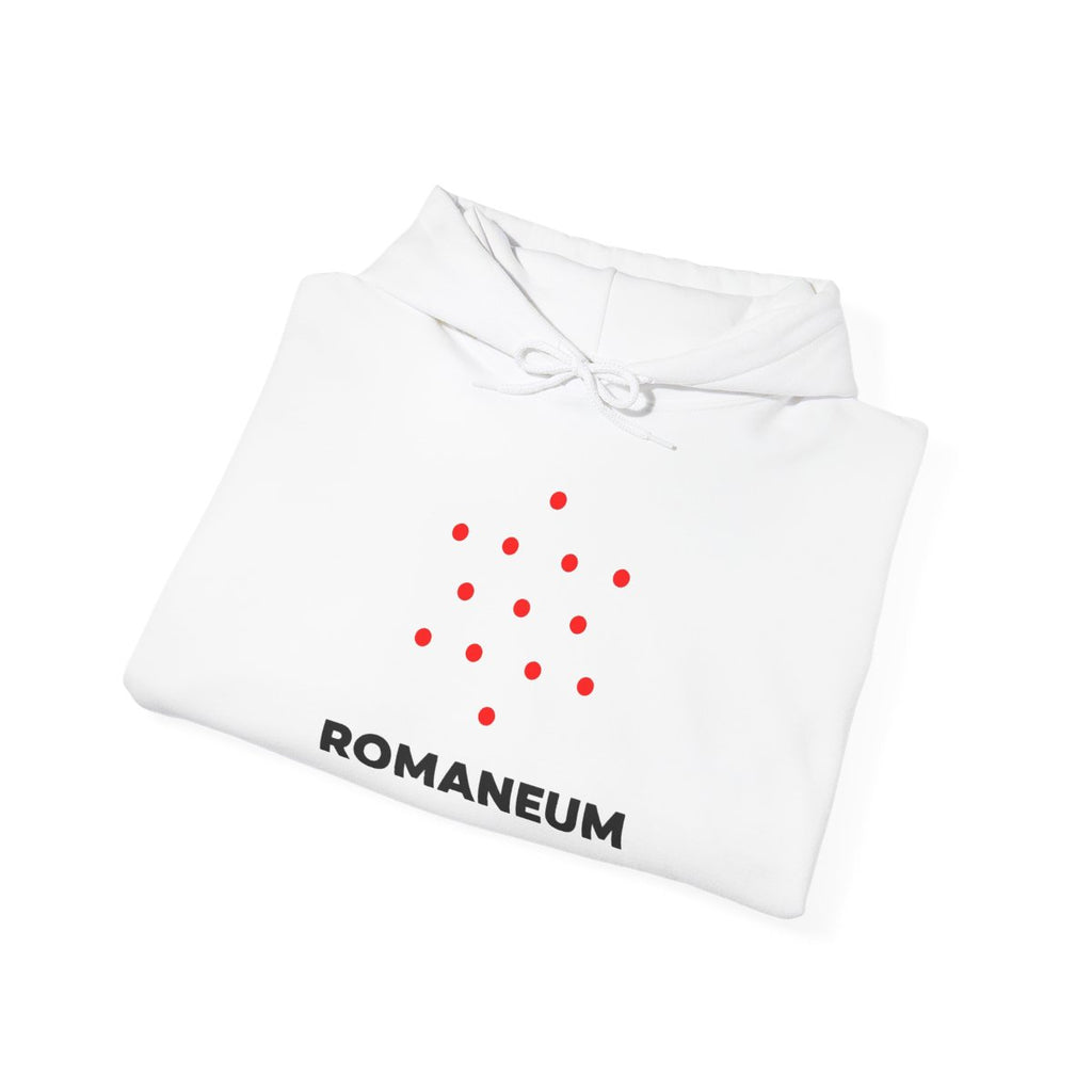 Romaneum Four-Direction Heavy Blend Hoodie | Flag & 13