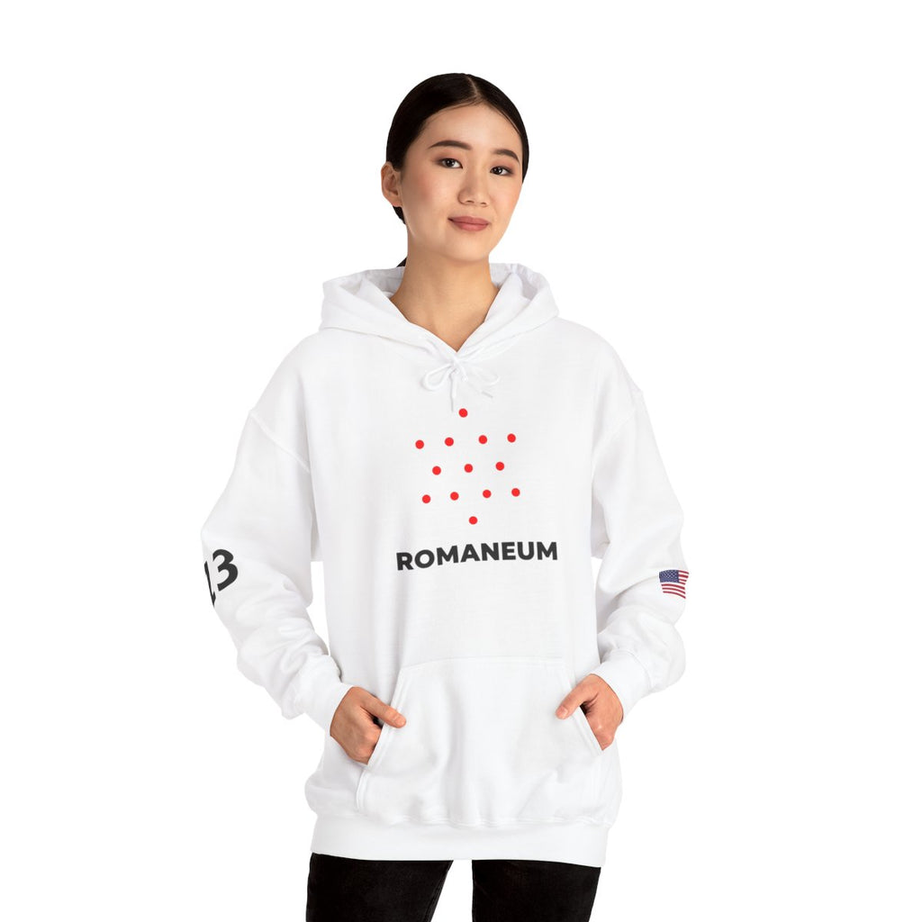Romaneum Four-Direction Heavy Blend Hoodie | Flag & 13