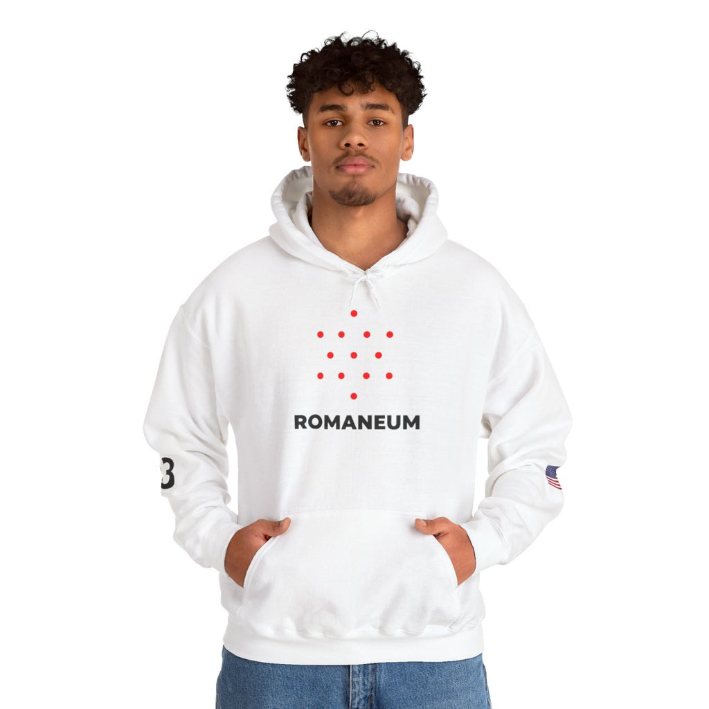 Romaneum Four-Direction Heavy Blend Hoodie | Flag & 13