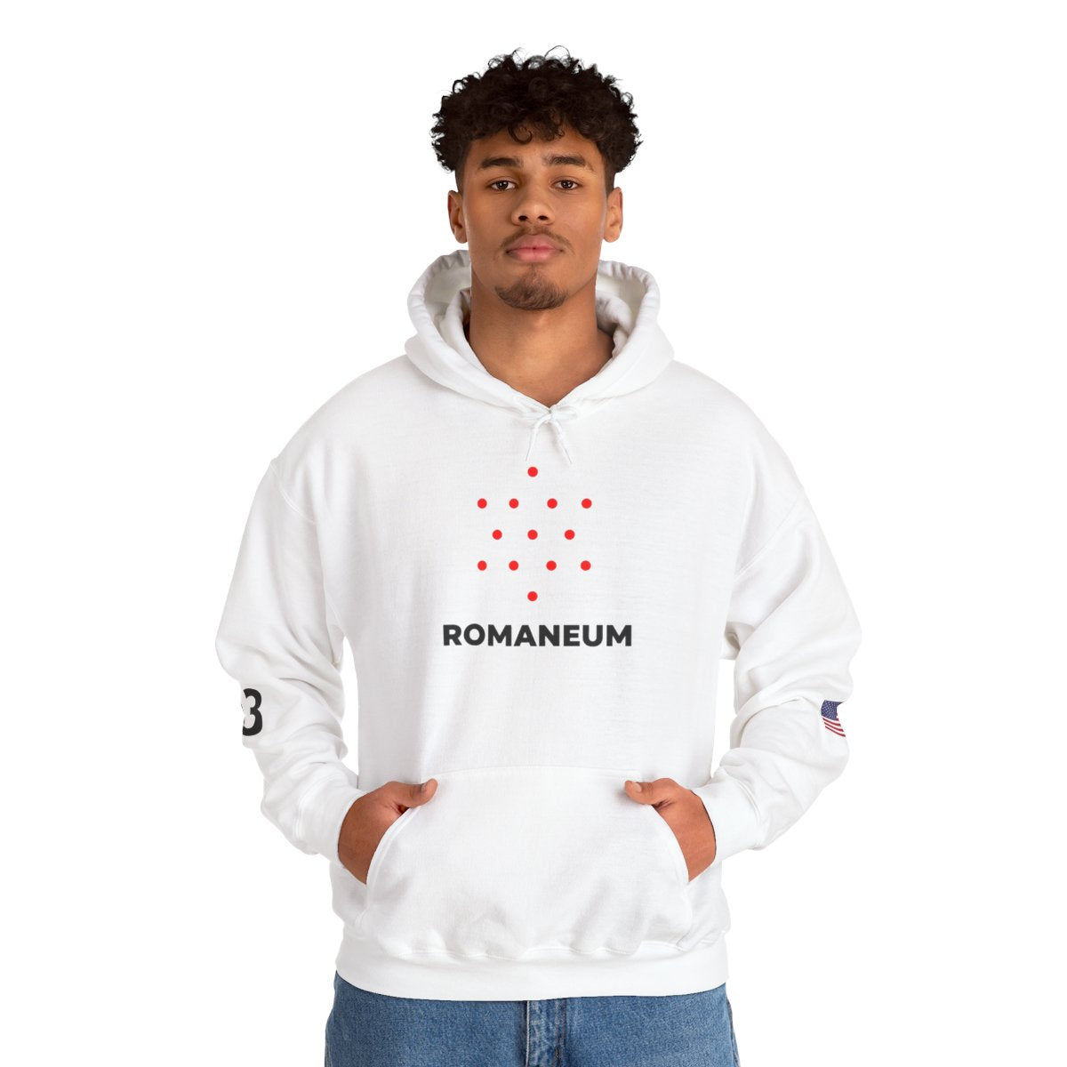 Romaneum Four-Direction Heavy Blend Hoodie | Flag & 13