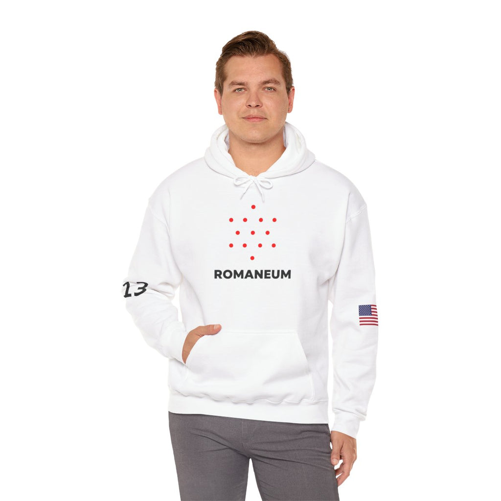 Romaneum Four-Direction Heavy Blend Hoodie | Flag & 13