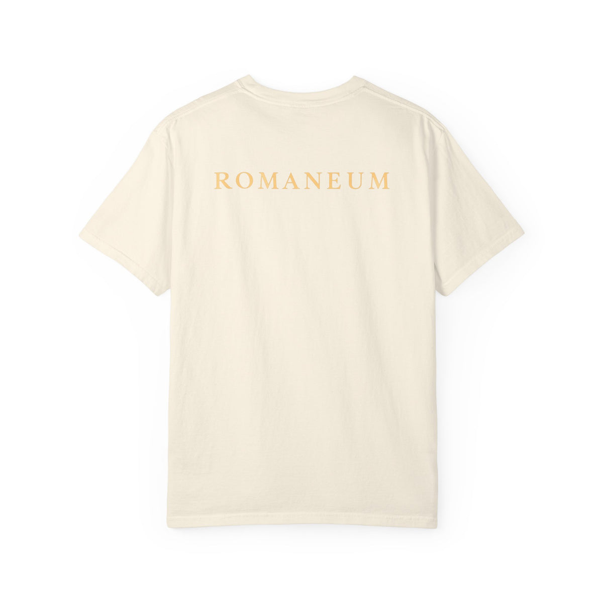 Rejoice in the Lord Always T-Shirt — Christian Faith Tee