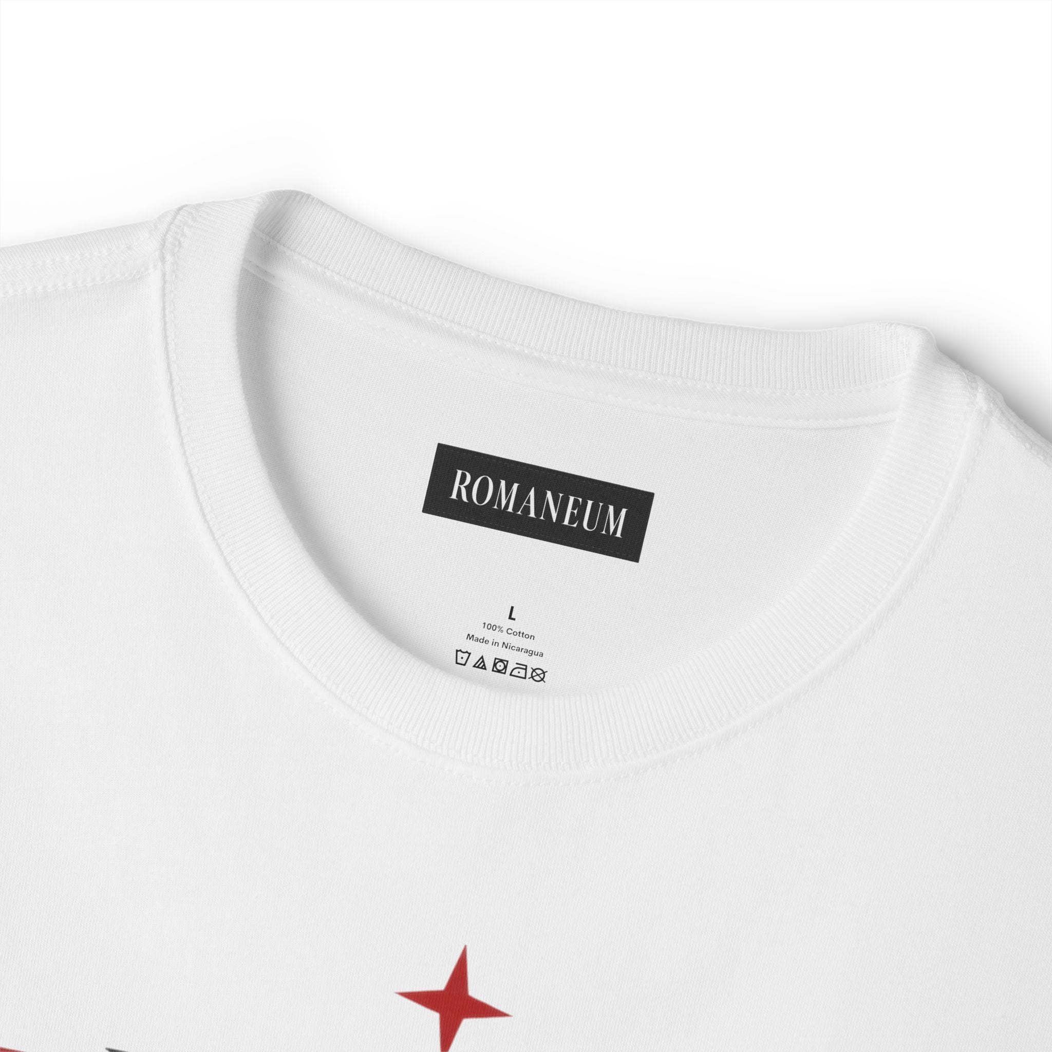 Amor Romanum Tee — 'Amor' Mirrored Graphic Boxy T‑Shirt