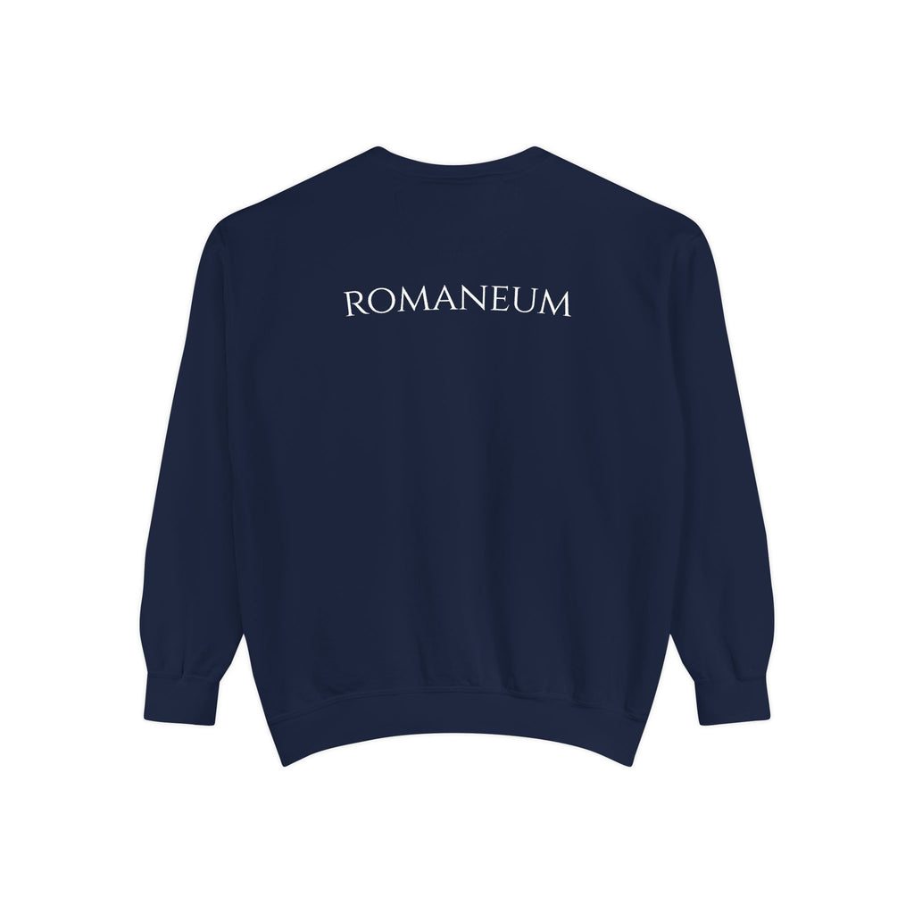 USA Flag Romaneum Sweatshirt