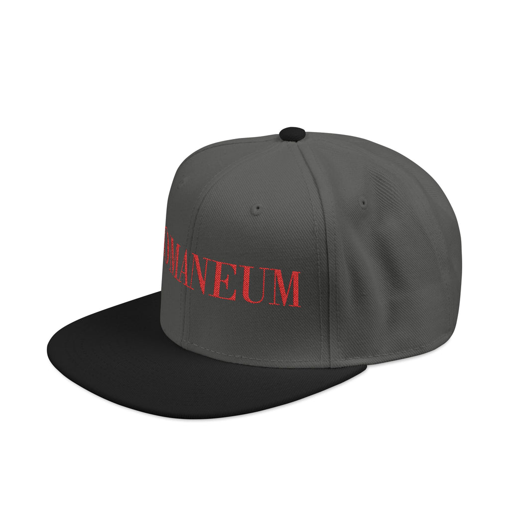 Embroidered Snapback Cap — Red Vintage 'ROMANEUM' Text