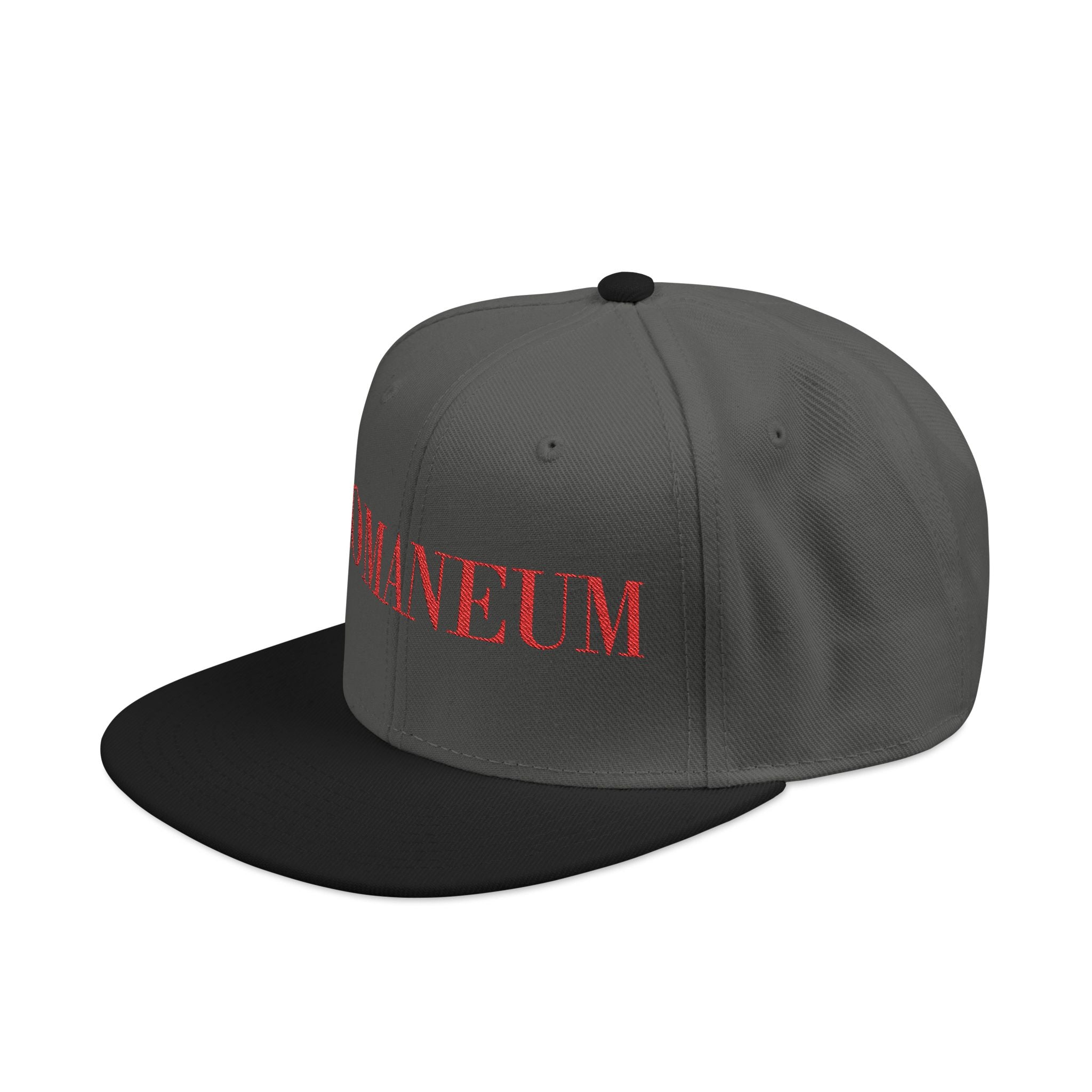 Embroidered Snapback Cap — Red Vintage 'ROMANEUM' Text