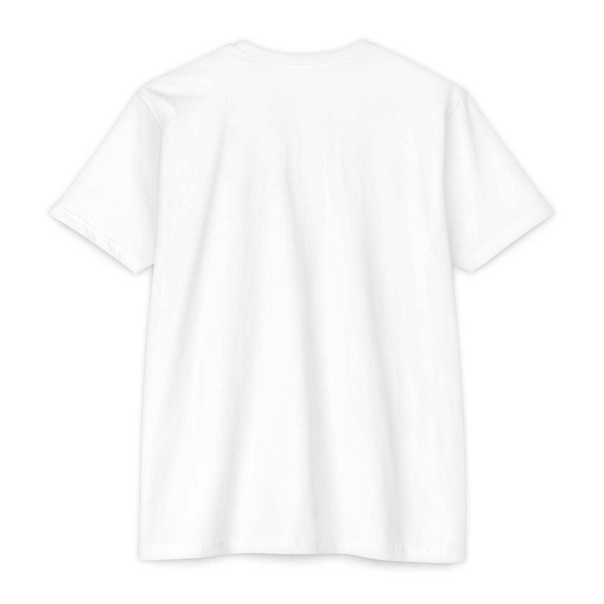 Romaneum Classic Tee — Minimalist Latin-Inspired Graphic T-Shirt