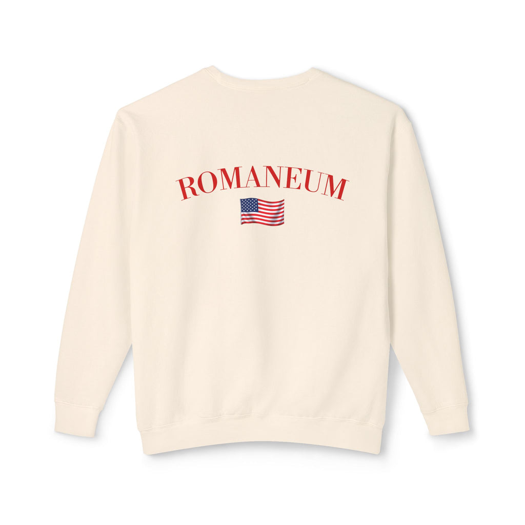 God Bless America Eagle Sweatshirt