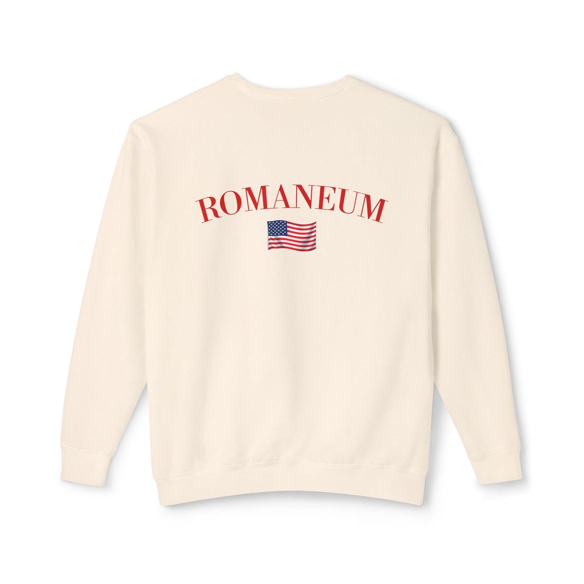 God Bless America Eagle Sweatshirt