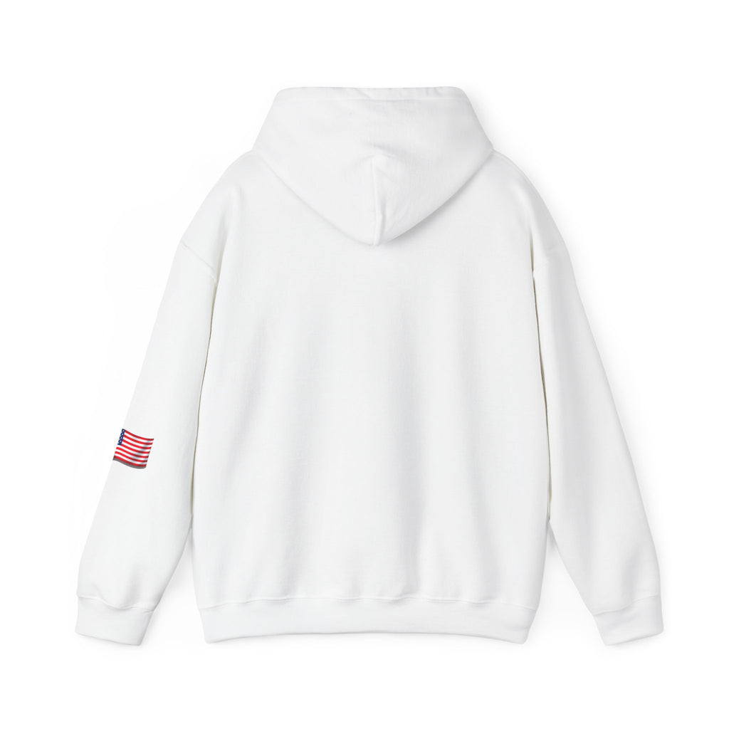 Romaneum God Bless America flag map Hoodie | American flag fireworks sleeve