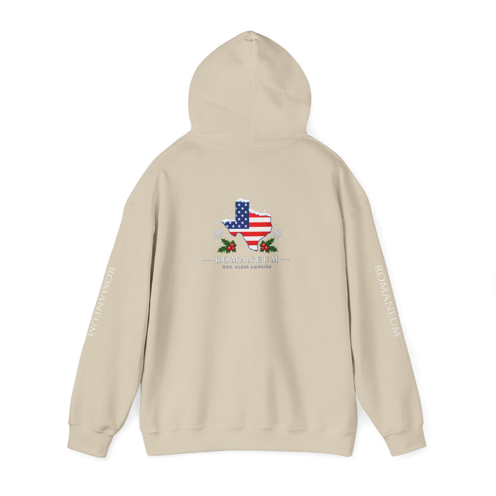 American Flag Texas Hoodie — God Bless America Patriotic Pullover