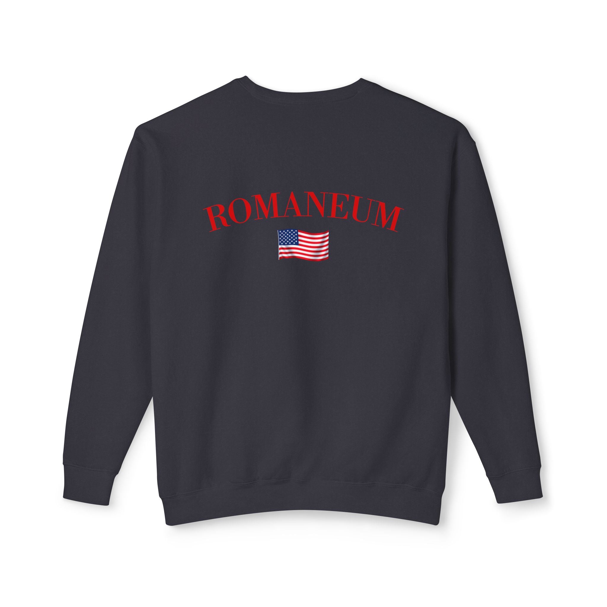 God Bless America Eagle Sweatshirt