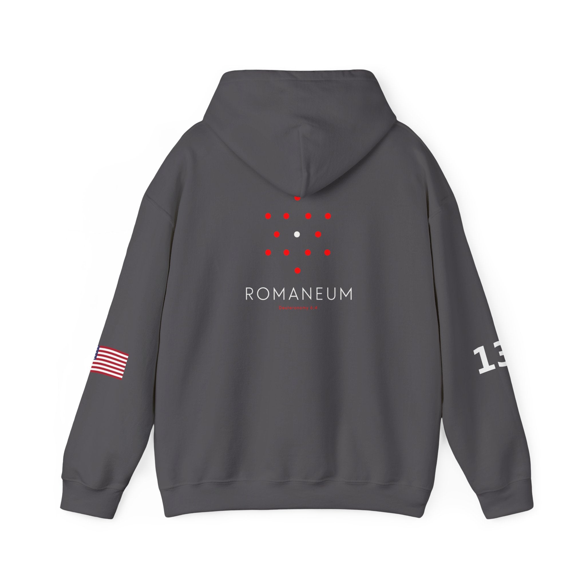 Romaneum Heavy Blend Hoodie | Flag & 13