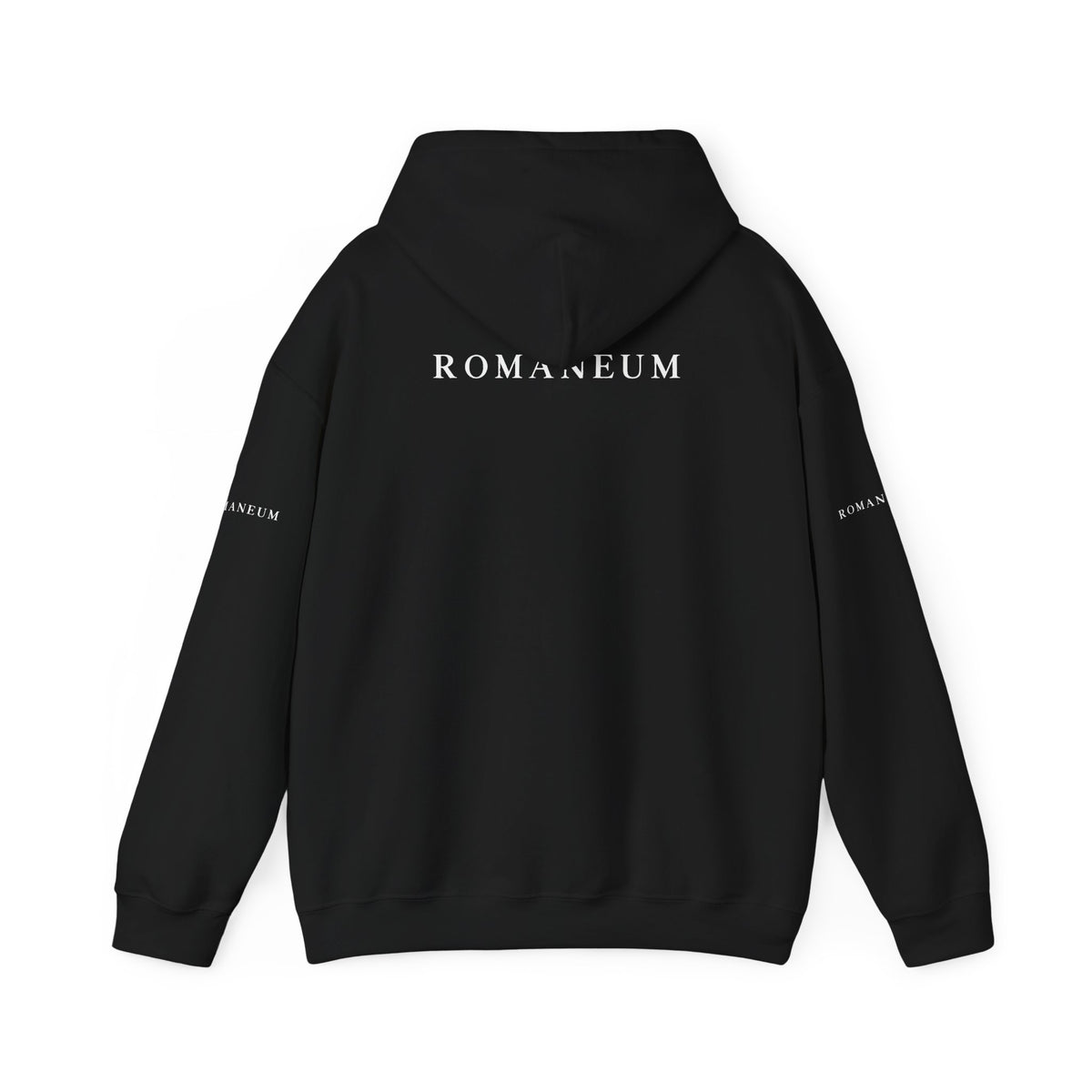 Genesis 1.1 Romaneum Hoodie – Minimalist Biblical Verse Pullover
