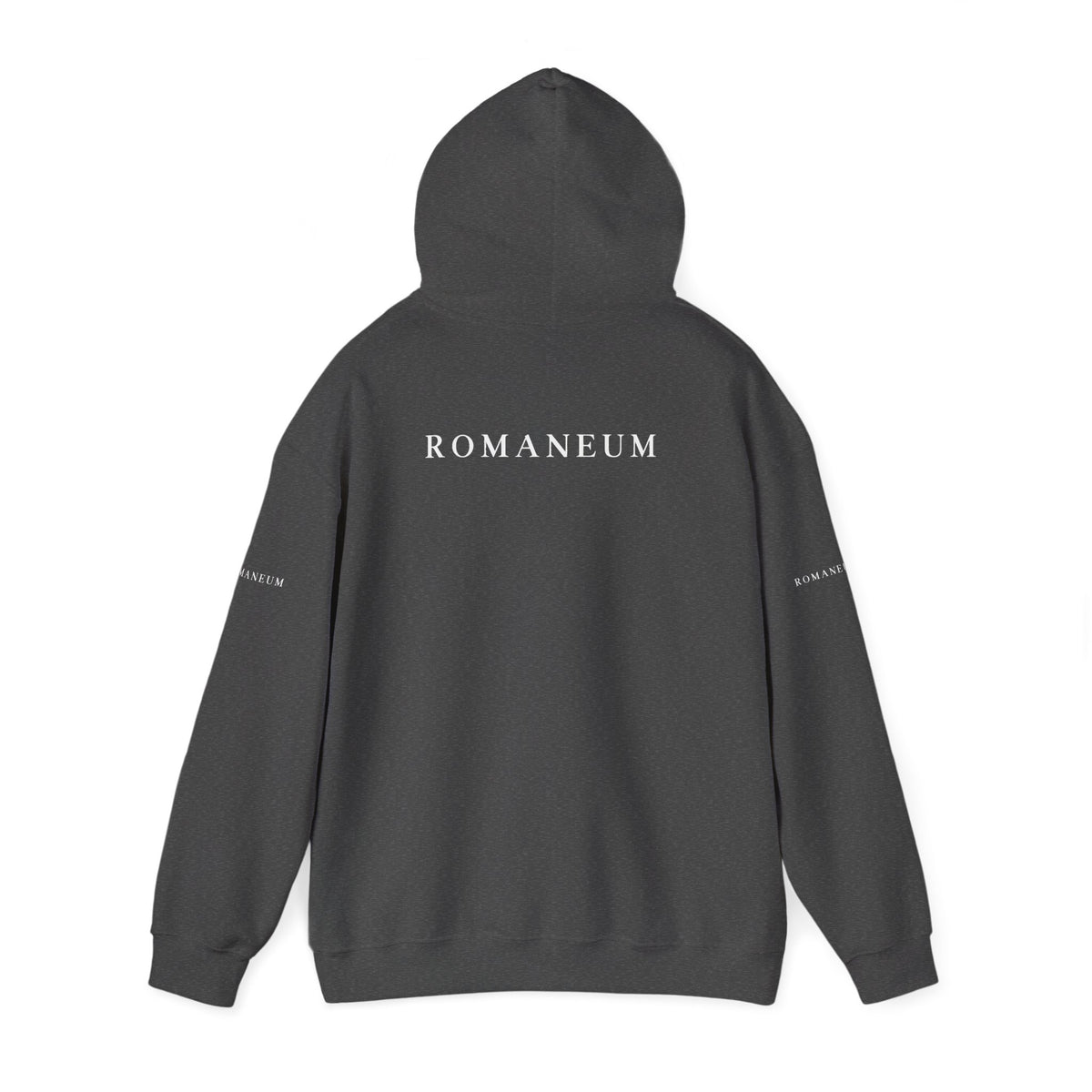 Genesis 1.1 Romaneum Hoodie – Minimalist Biblical Verse Pullover