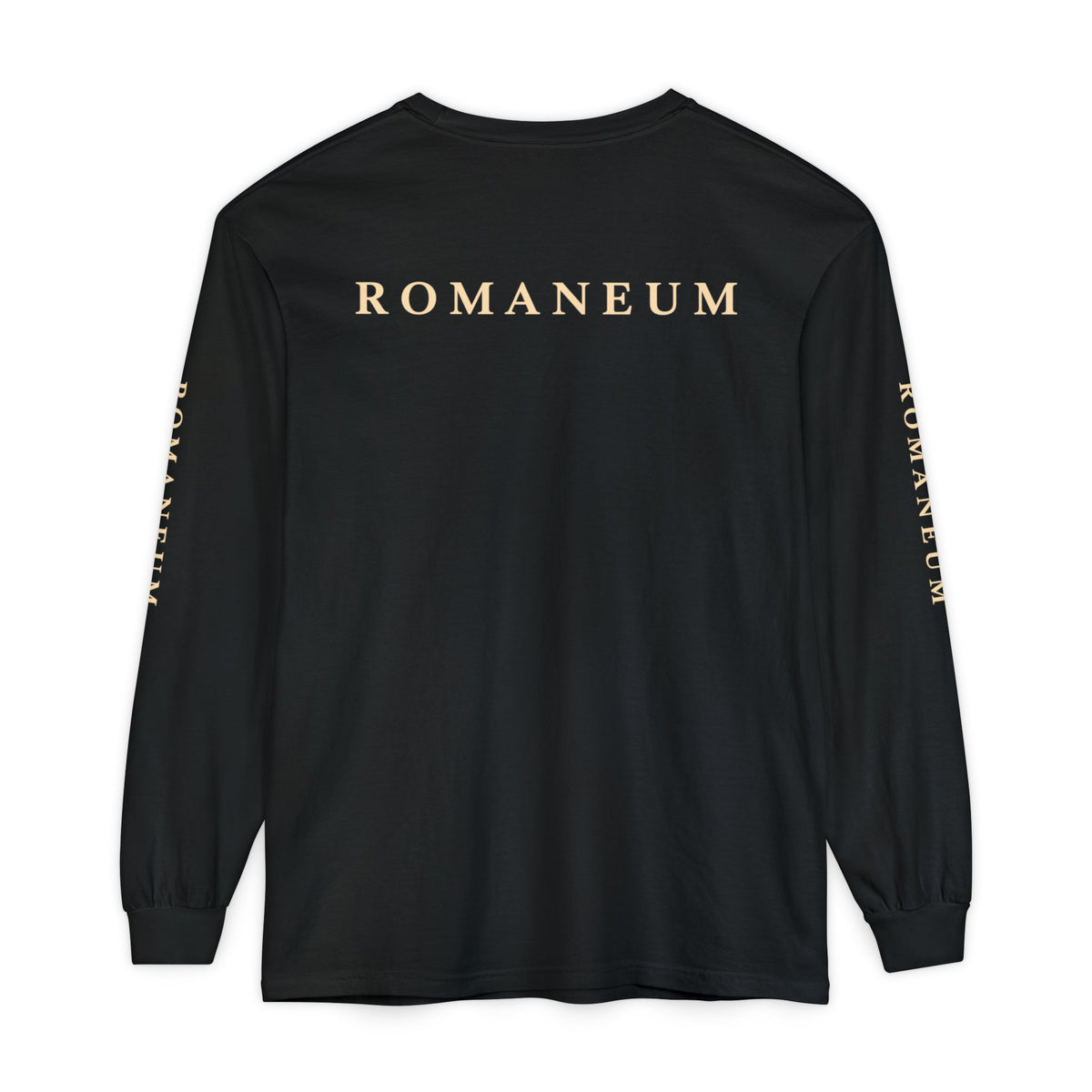 Conquerors Long Sleeve Tee — "More Than Conquerors" Romaneum