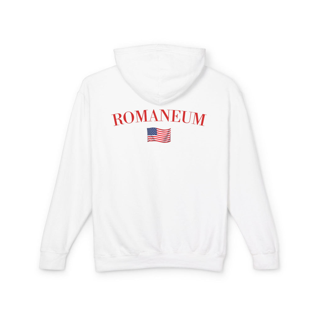 God Bless America Hoodie — Patriotic Eagle Flag Hooded Sweatshirt