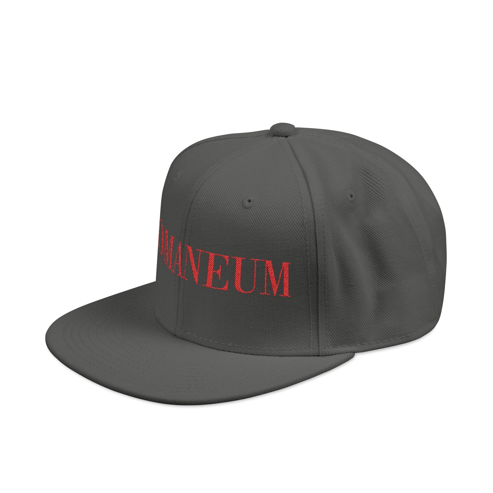 Embroidered Snapback Cap — Red Vintage 'ROMANEUM' Text