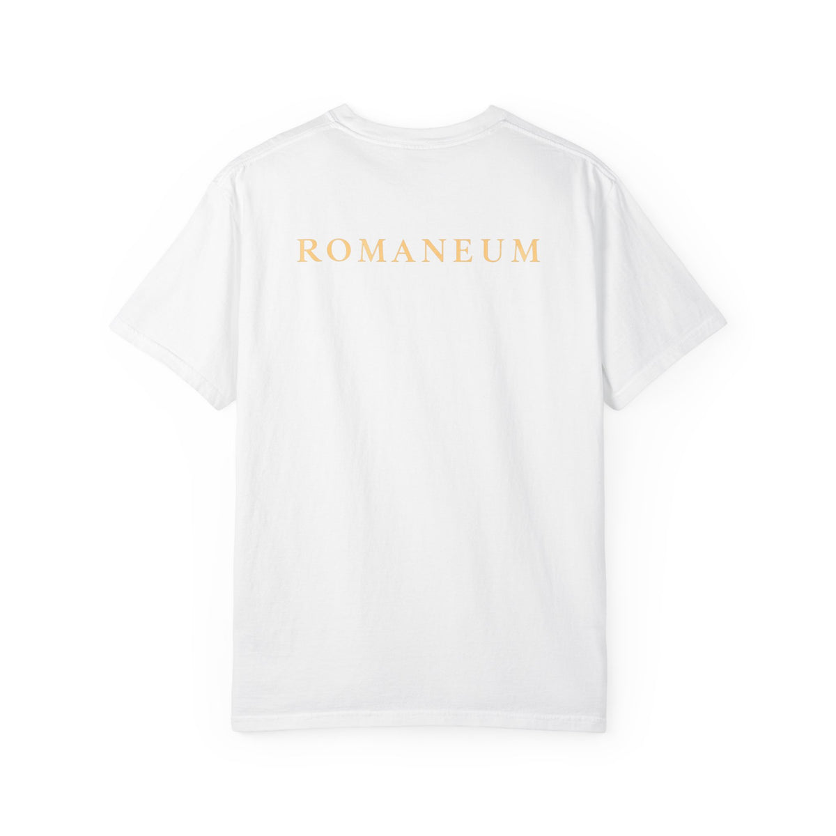 Rejoice in the Lord Always T-Shirt — Christian Faith Tee