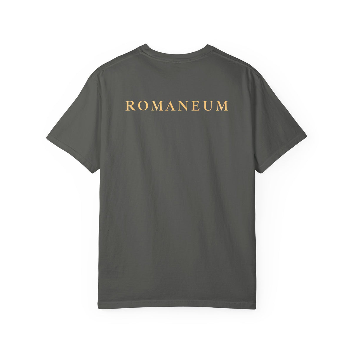 Rejoice in the Lord Always T-Shirt — Christian Faith Tee