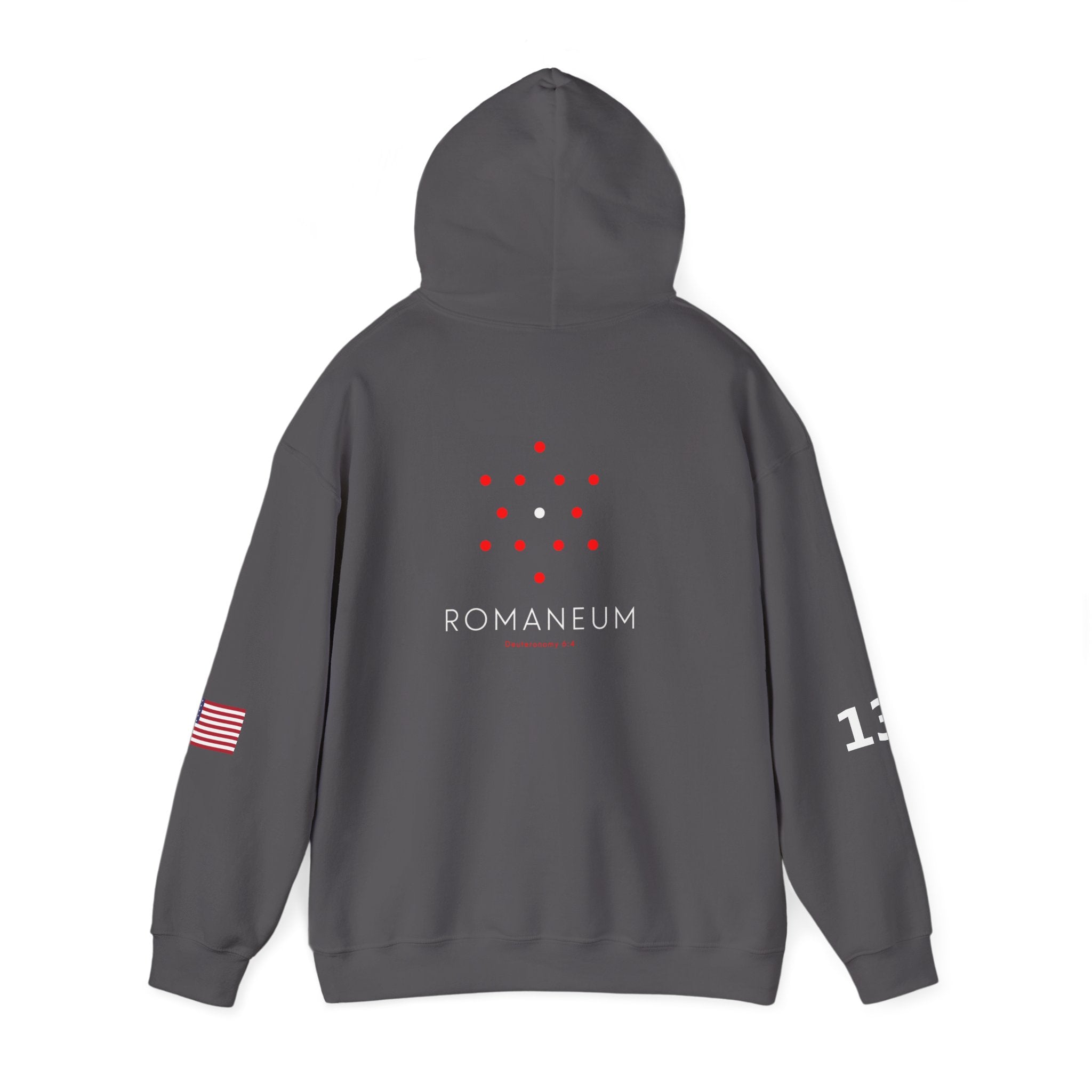 Romaneum Heavy Blend Hoodie | Flag & 13